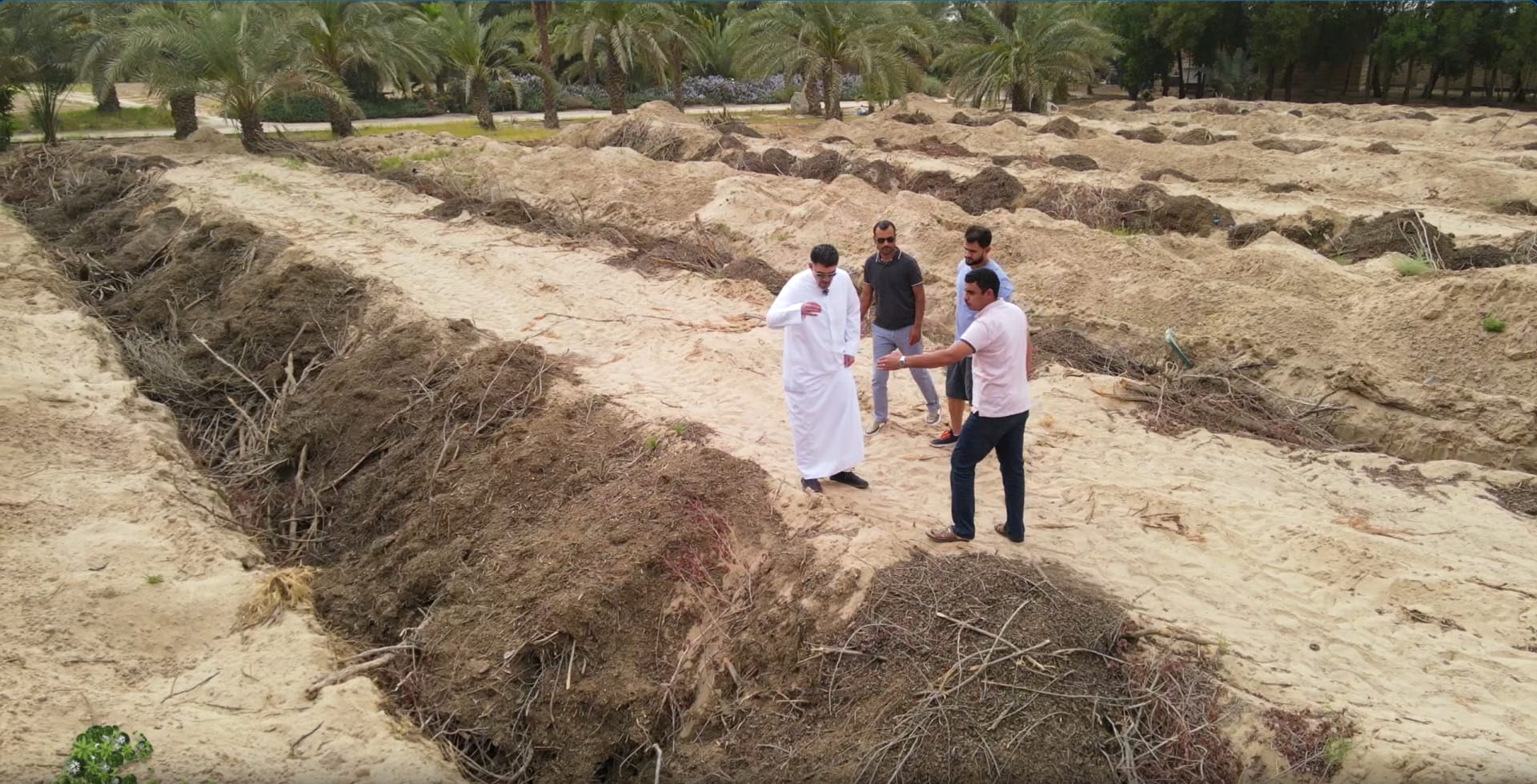 رجل يسعى لتحويل صحارى الكويت إلى جنة خضراء..غابة بعد أخرى
