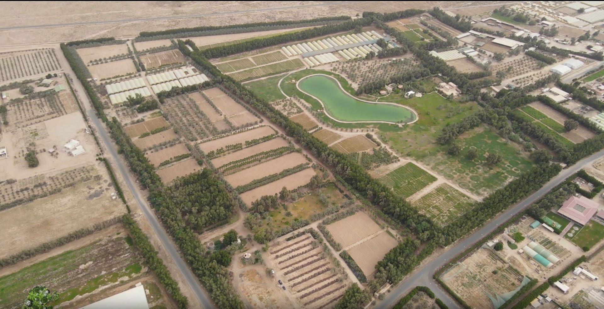 رجل يسعى لتحويل صحارى الكويت إلى جنة خضراء..غابة بعد أخرى