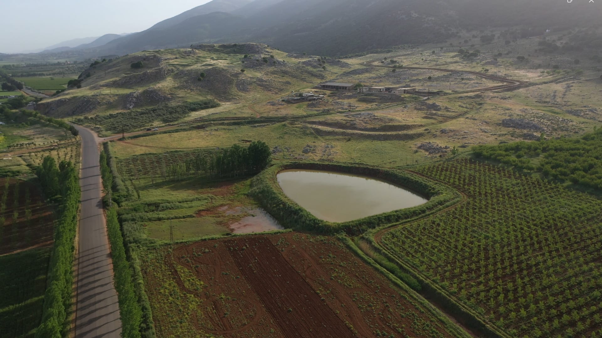 جواميس الماء في لبنان..هكذا ترحب كائنات عملاقة بالزوار في محمية عميق