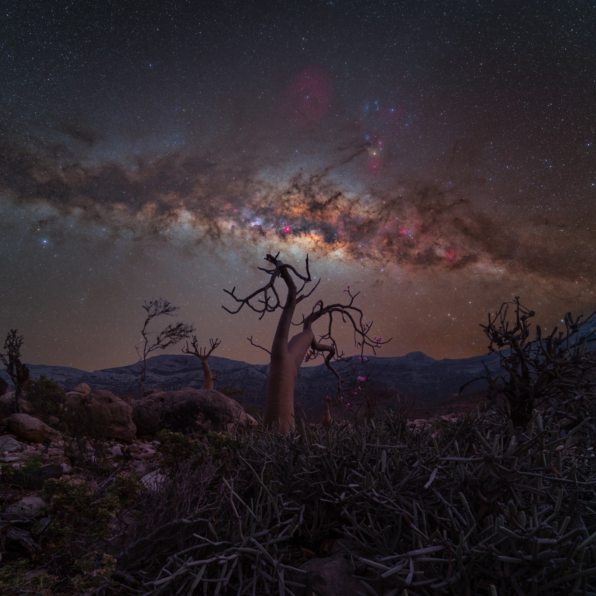  الجزيرة المباركة باليمن..مصور يرصد مشاهد ساحرة لسماء الليل بسقطرى
