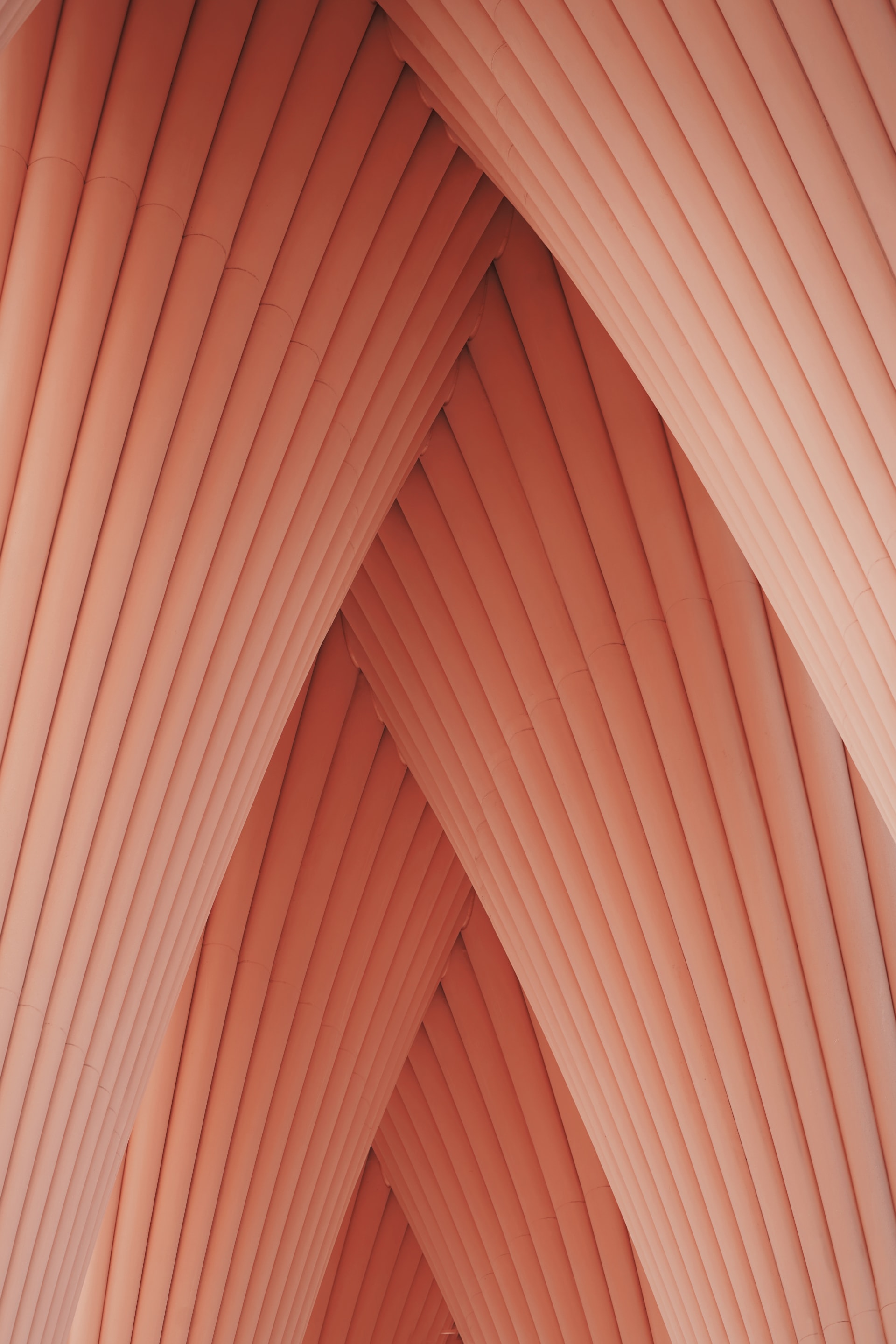 الجونة كما لم ترها من قبل.. مصورة تكشف سحر التفاصيل الصامتة في هذه المدينة المصرية