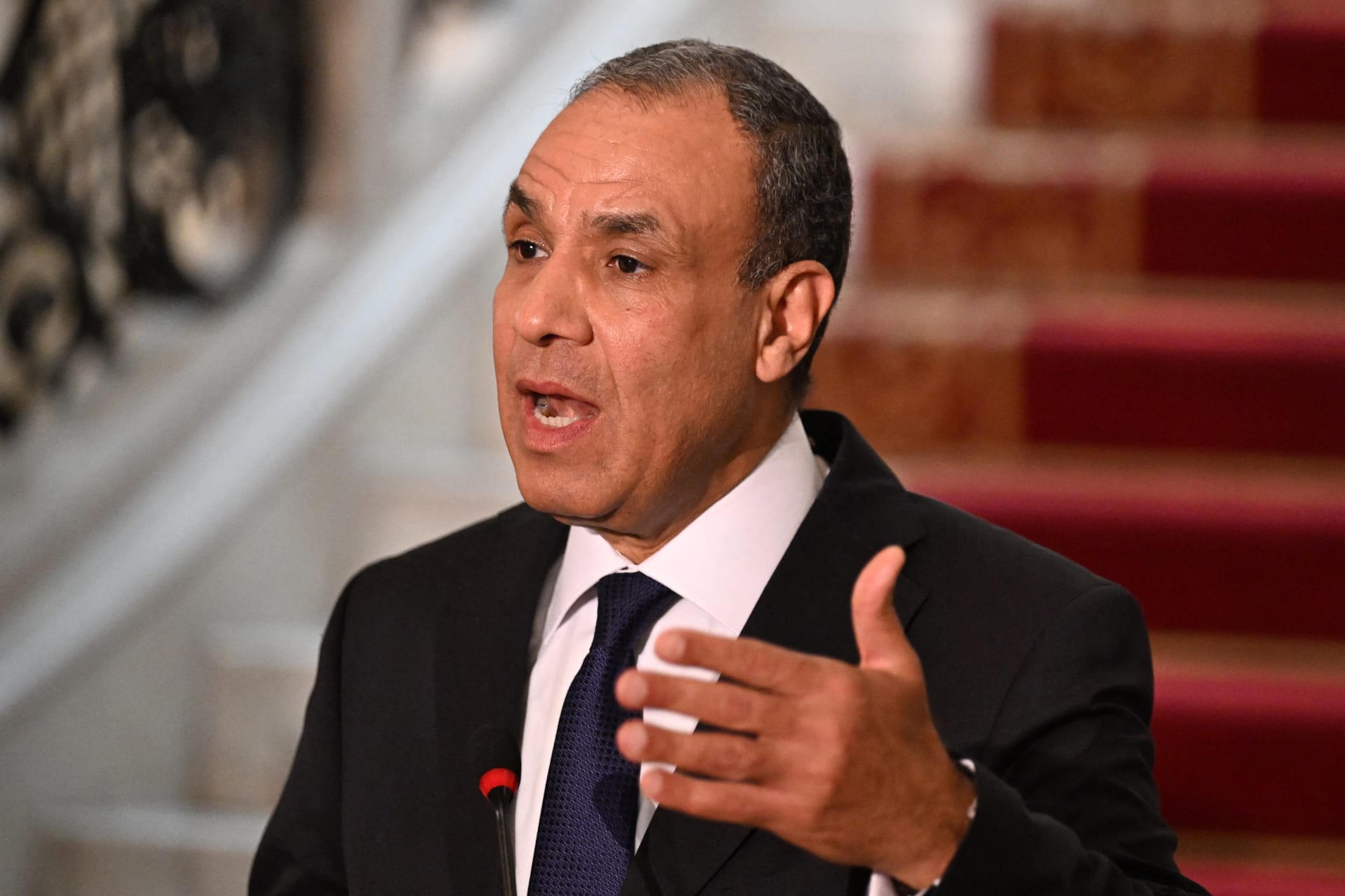 مصر.. وزير الخارجية يكشف عن 