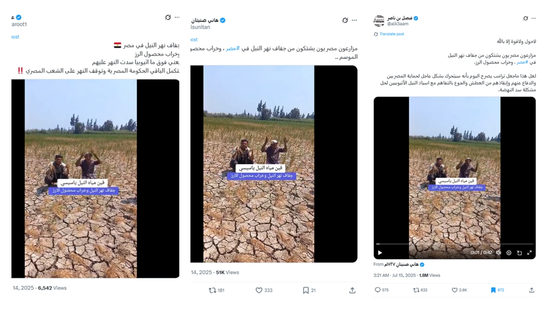 فيديو متداول لـ جفاف أراضي محصول الأرز في مصر.. ما حقيقته؟