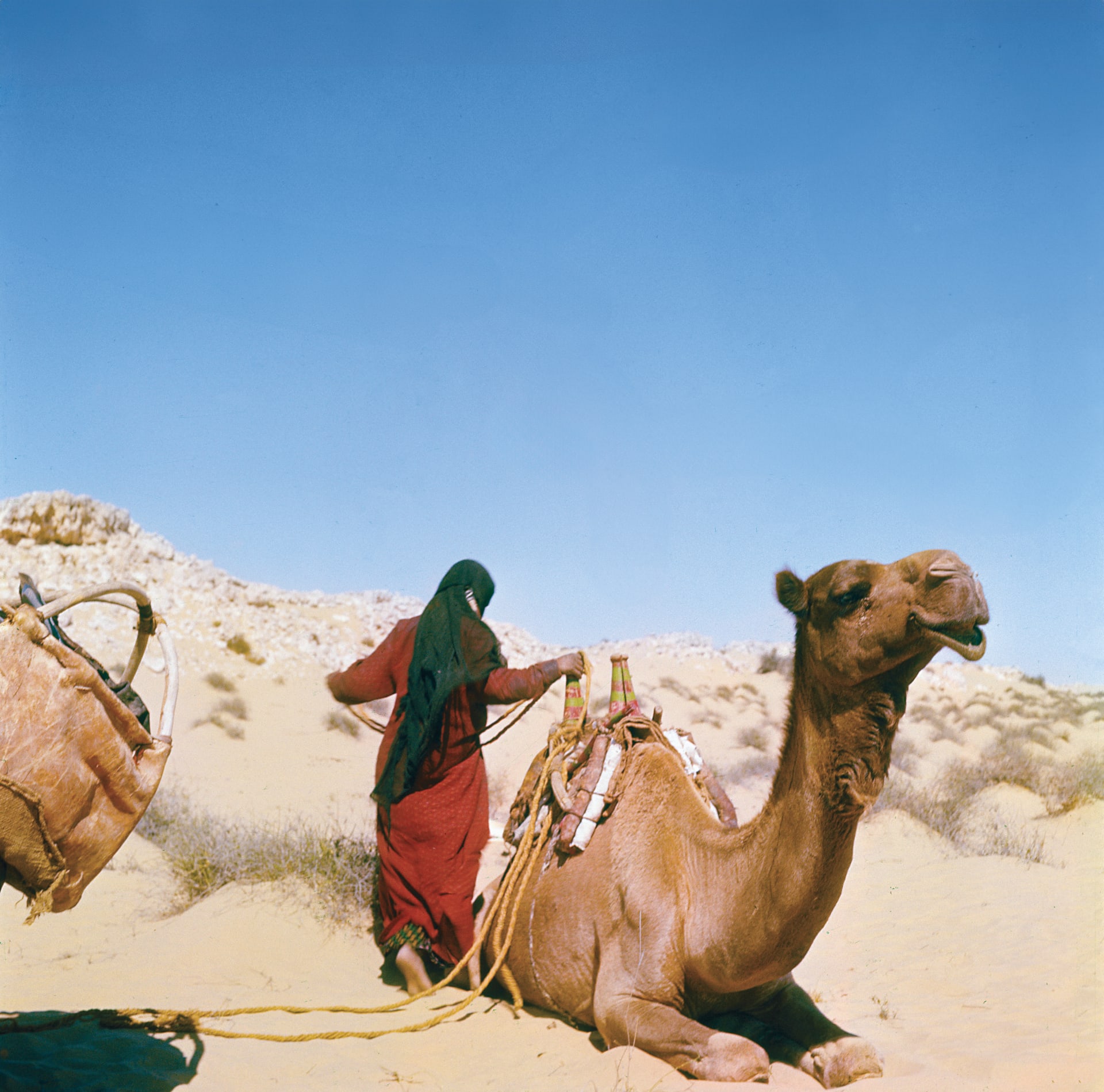 نساء الصحراء في قطر..لقطات نادرة من حياة البدويات بالخمسينيات