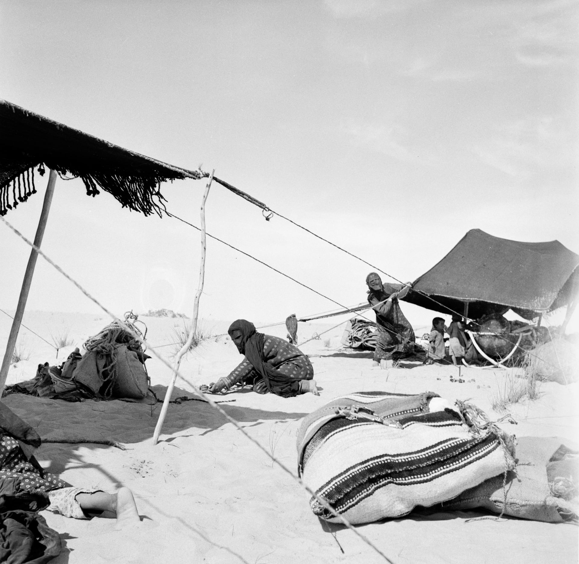 نساء الصحراء في قطر..لقطات نادرة من حياة البدويات بالخمسينيات