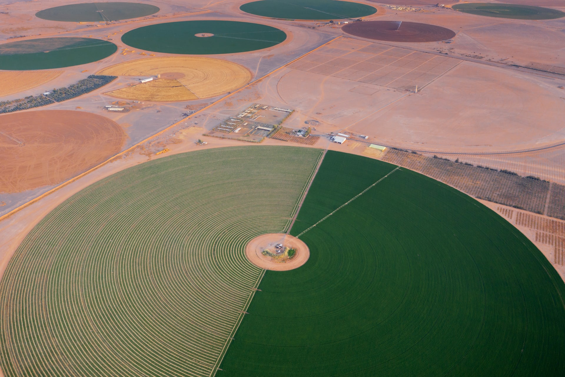 دوائر غريبة في صحراء السعودية.. مصور يكشف حقيقة هذه الأشكال الغامضة