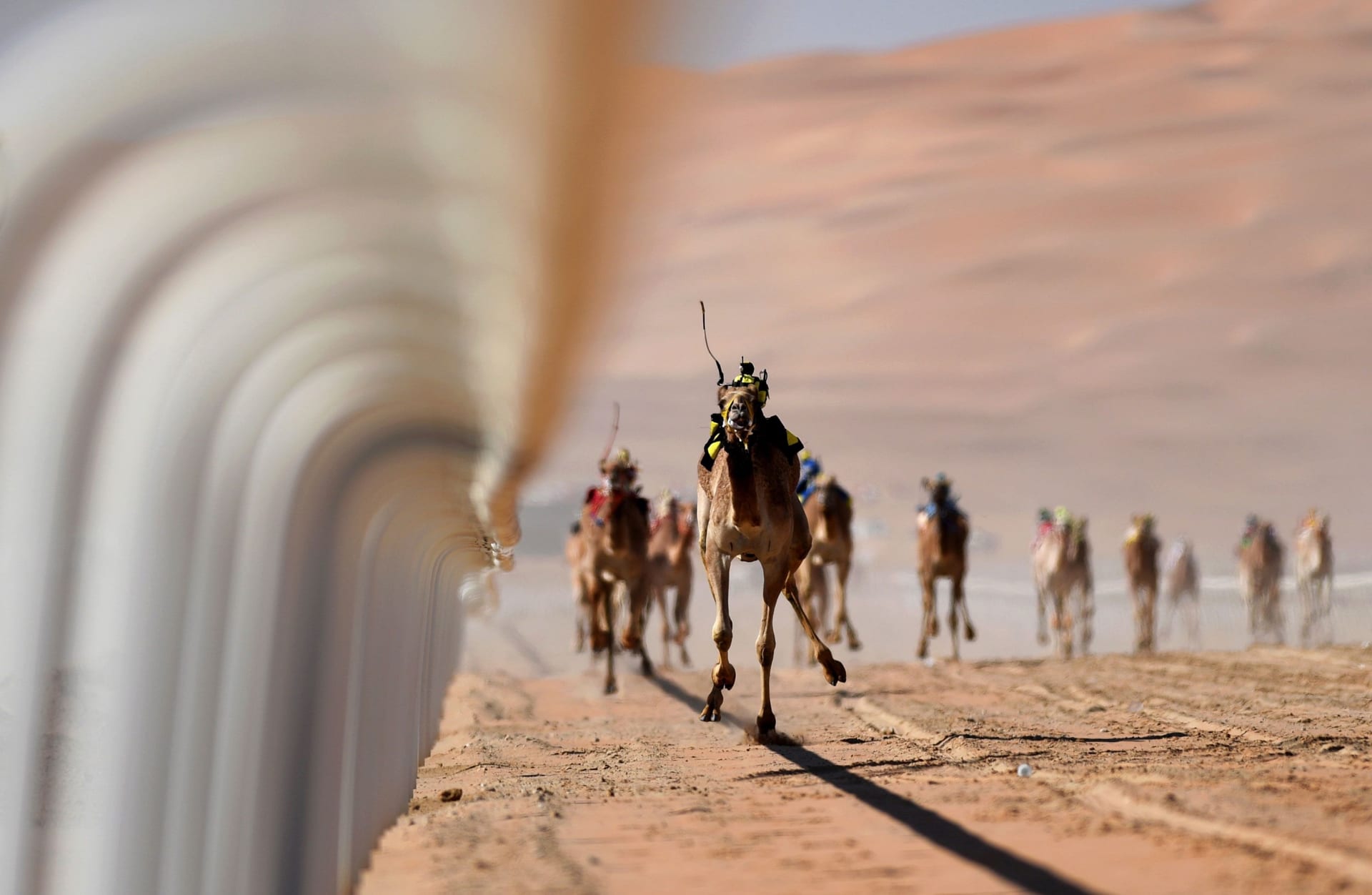 مهرجان سباق السيارات في أبوظبي يحول الصحراء إلى ما يشبه ماد ماكس 