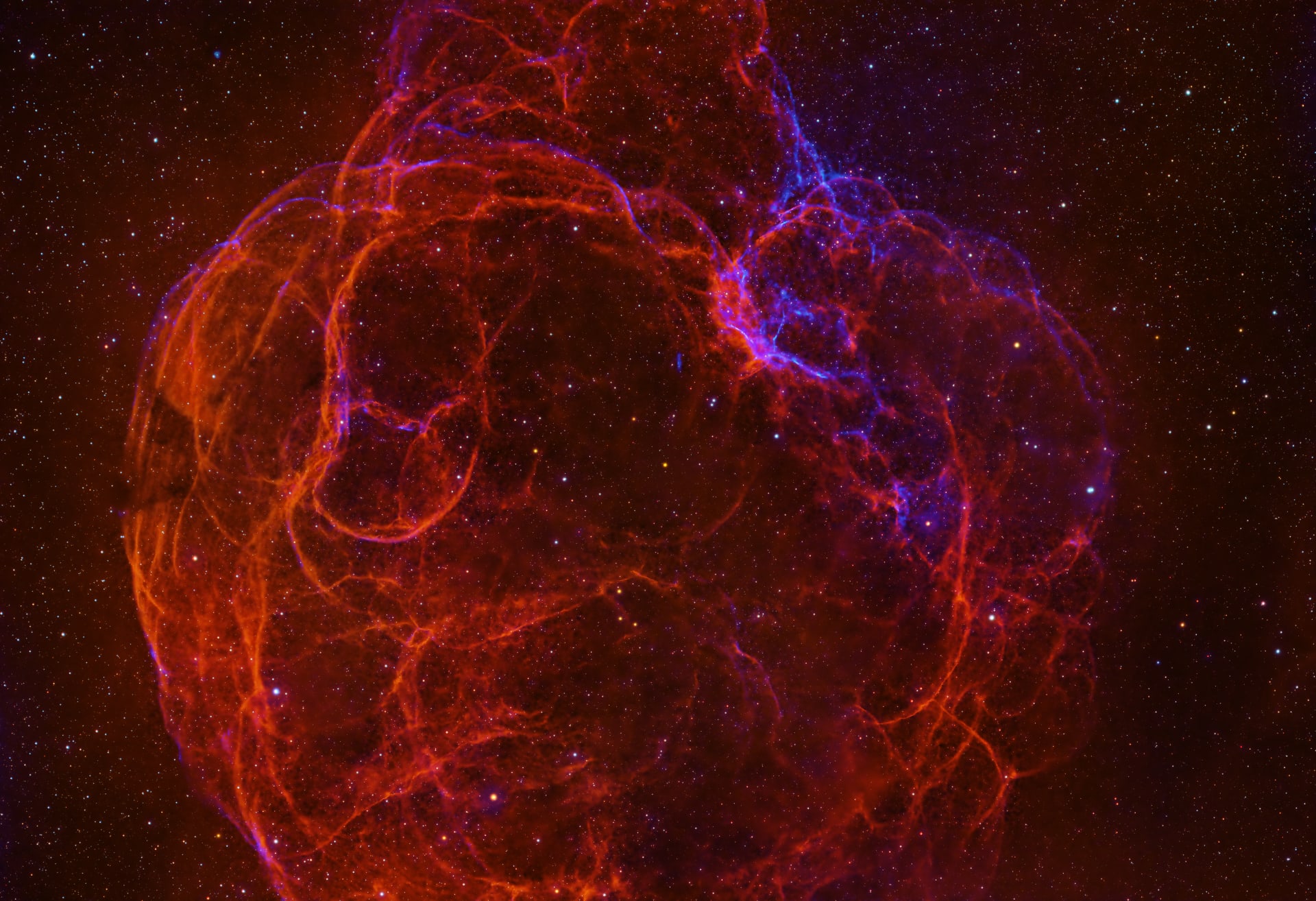 بينها سديم الذئب المظلم ..صور فلكية مذهلة ترصد عجائب الكون في سماء مصر