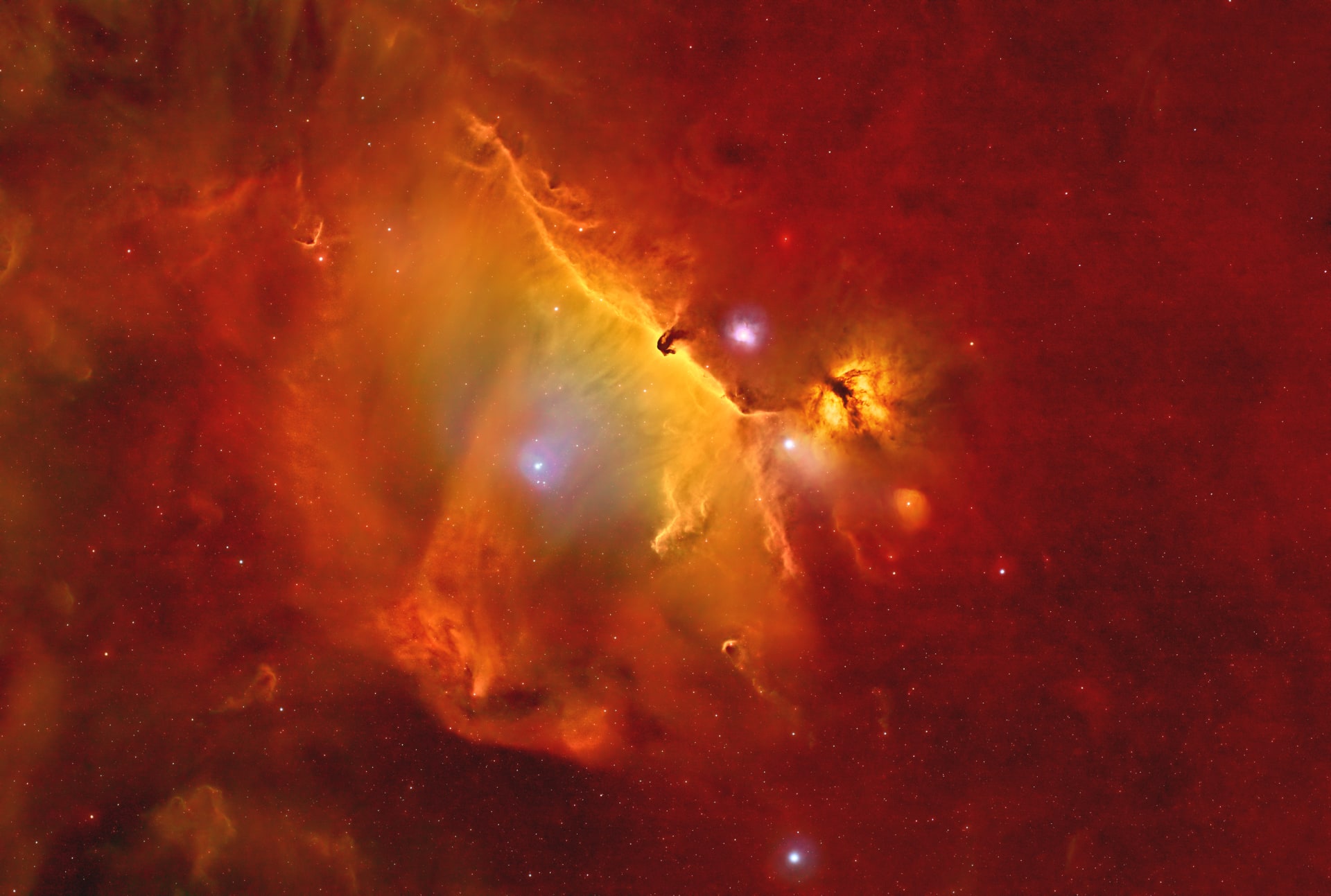 بينها سديم الذئب المظلم ..صور فلكية مذهلة ترصد عجائب الكون في سماء مصر