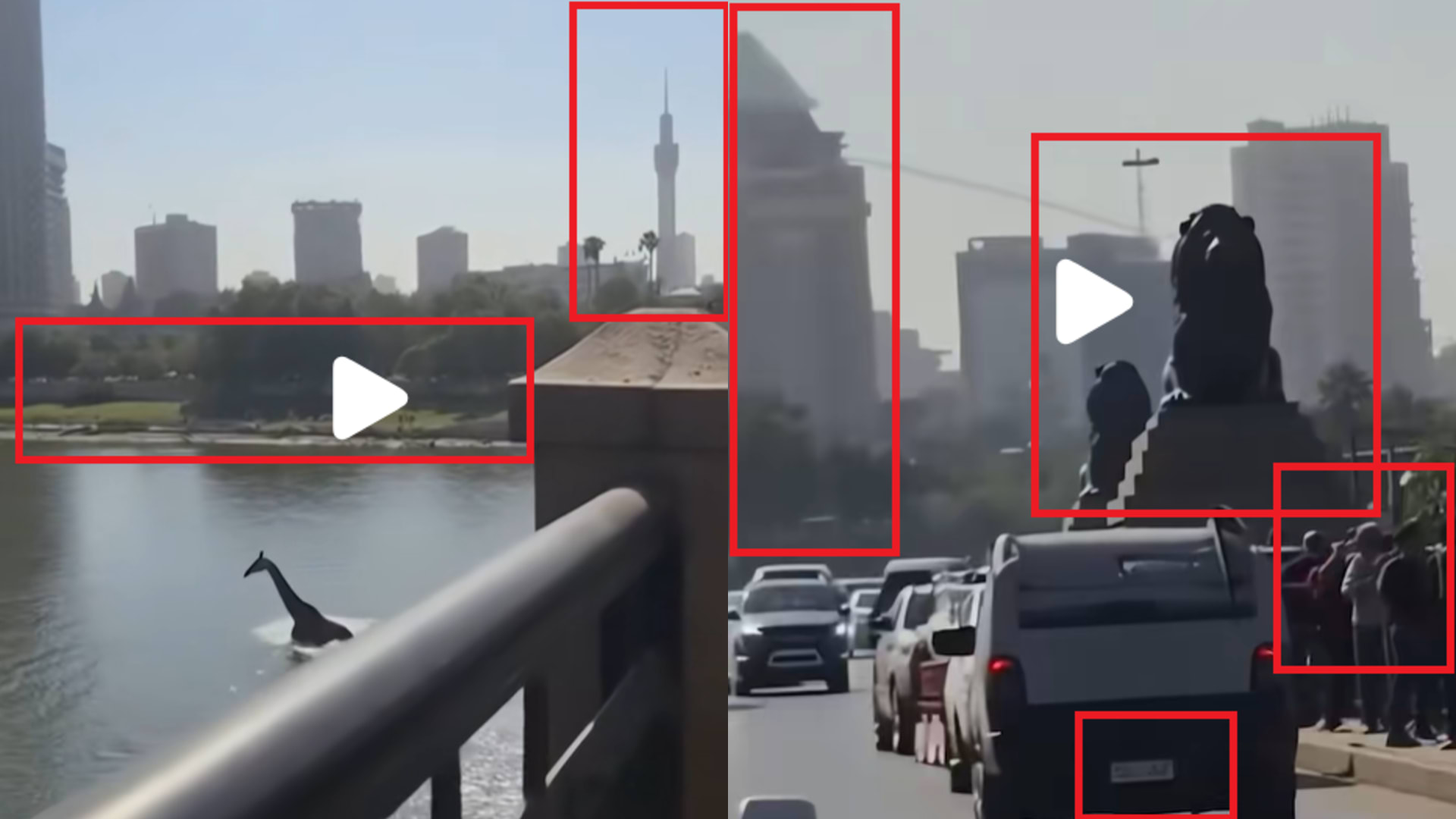 لقطة شاشة لمواطن الخلل في مقاطع الفيديو المتداولة