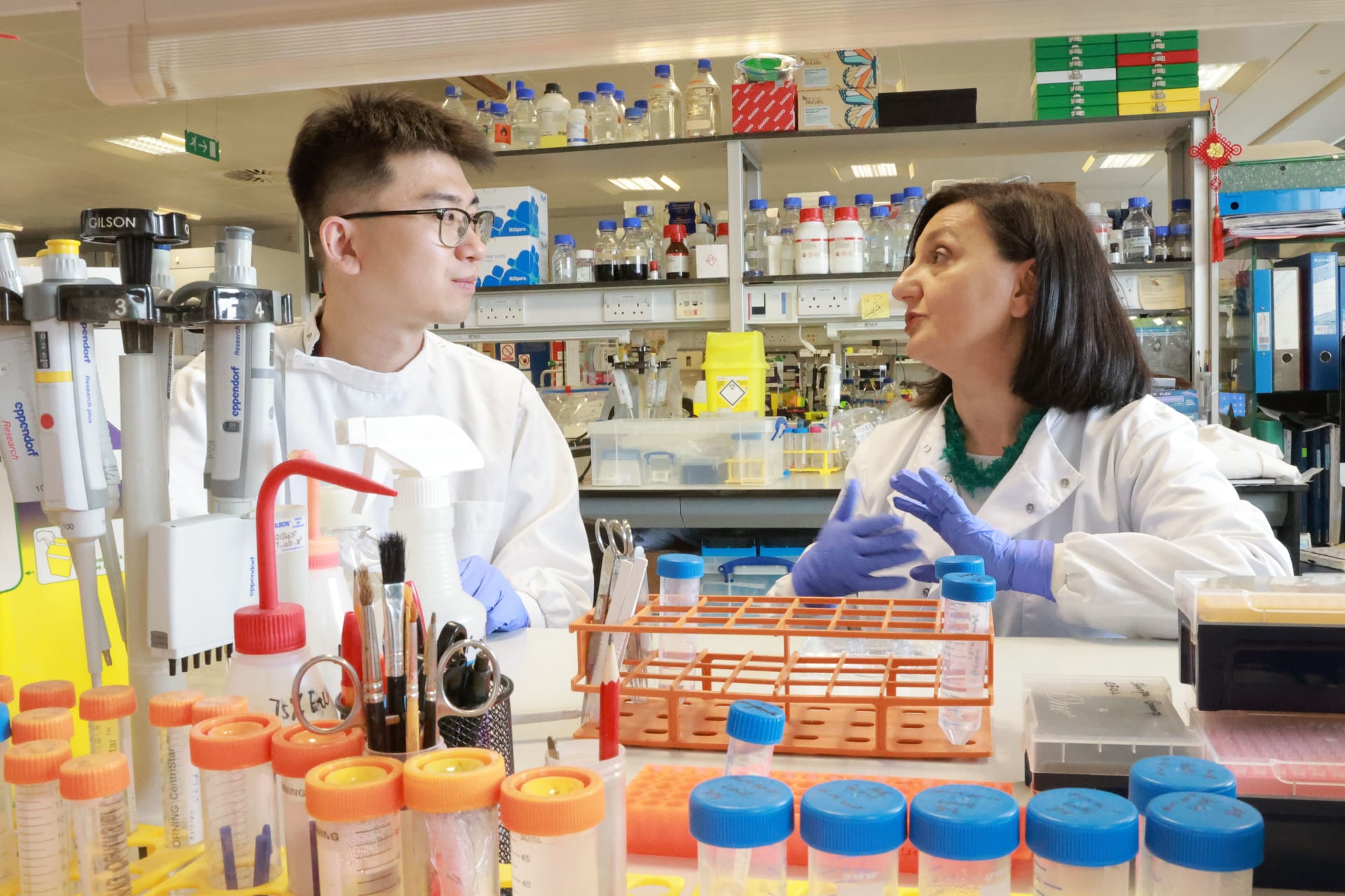 Лабораторное выращивание зубов: от научной фантастики к революции в стоматологии