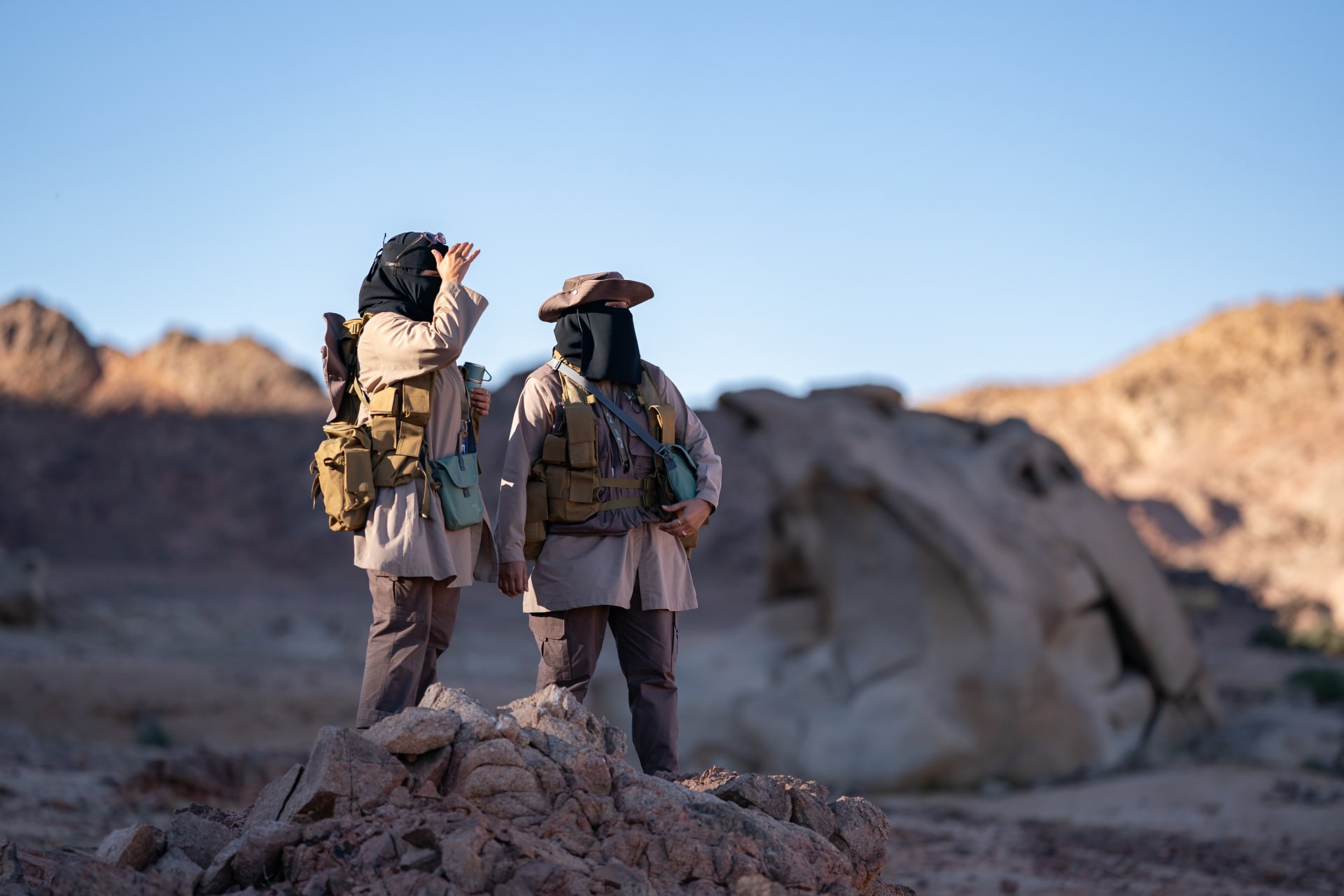 كيف عاد الحمار البري إلى السعودية بعد غياب استمر لأكثر من قرن؟