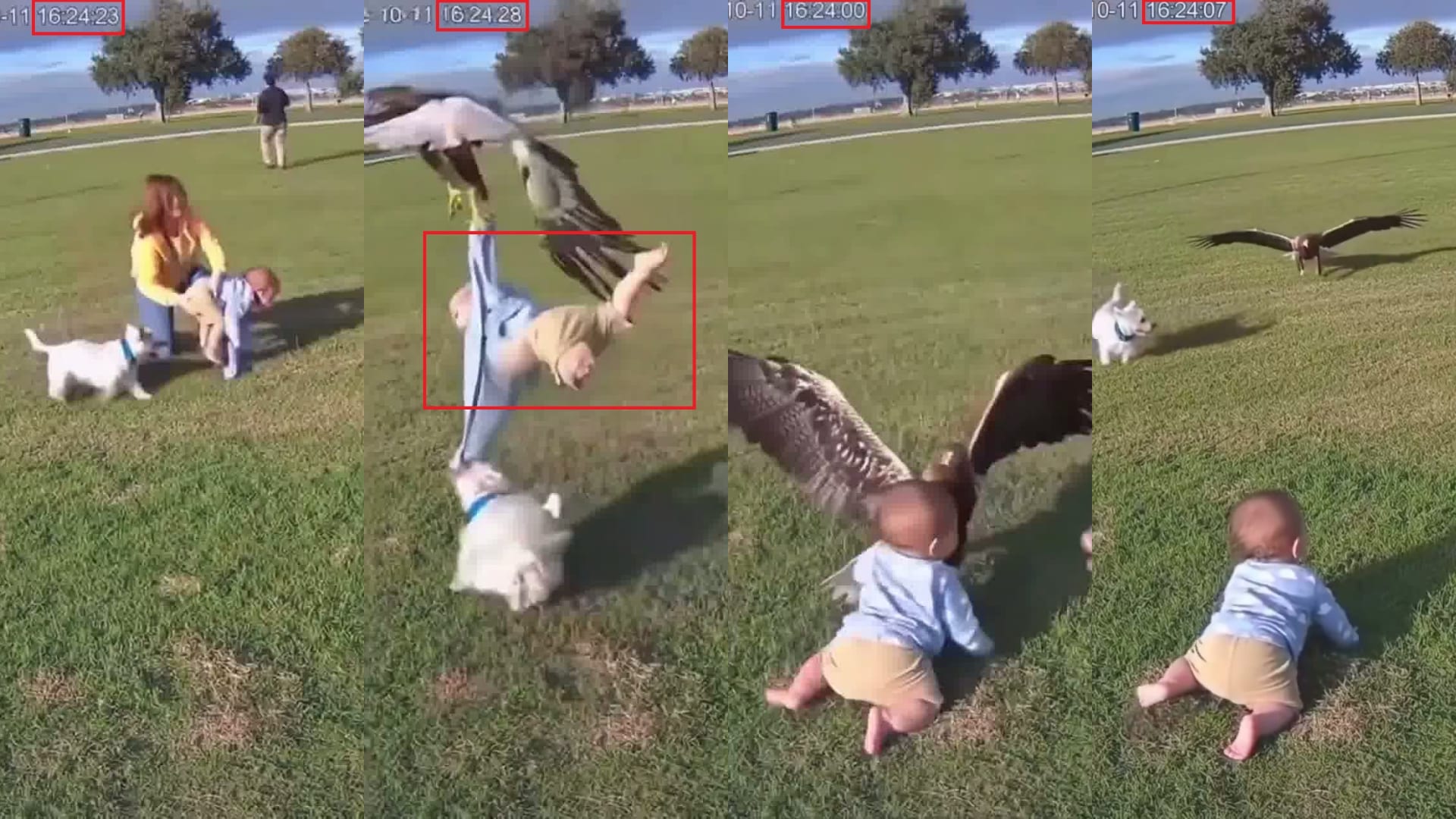 لقطة شاشة تُظهر تباين التوقيت الزمني للفيديو