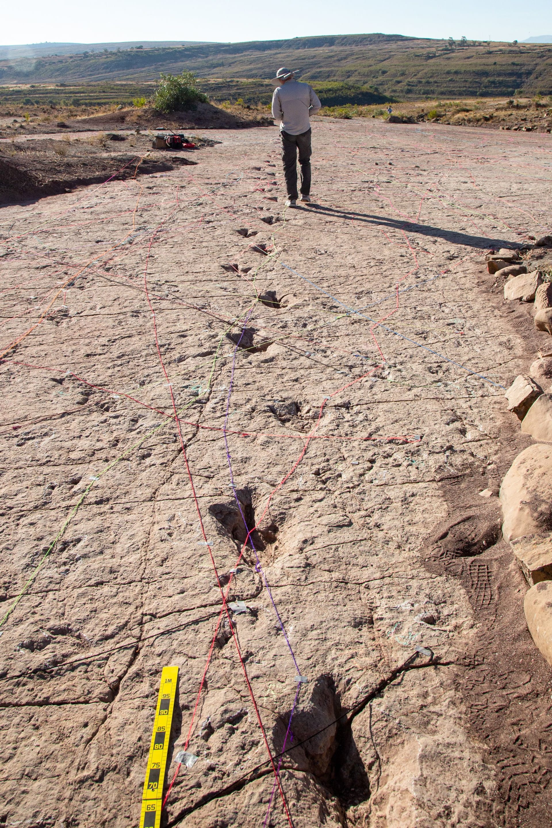 اكتشاف أكبر موقع لآثار أقدام الديناصورات في العالم