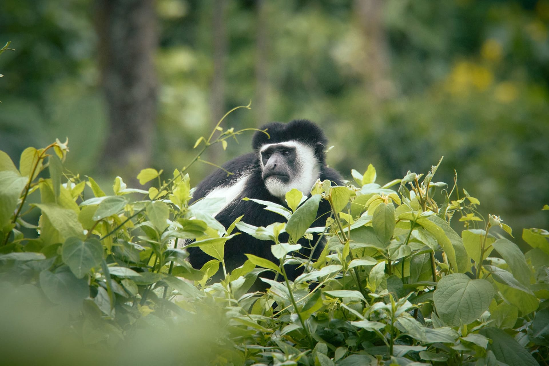 مغامرات فريدة وأحداث فلكية نادرة.. إليك وجهات بارزة تستحق الزيارة عام 2026
