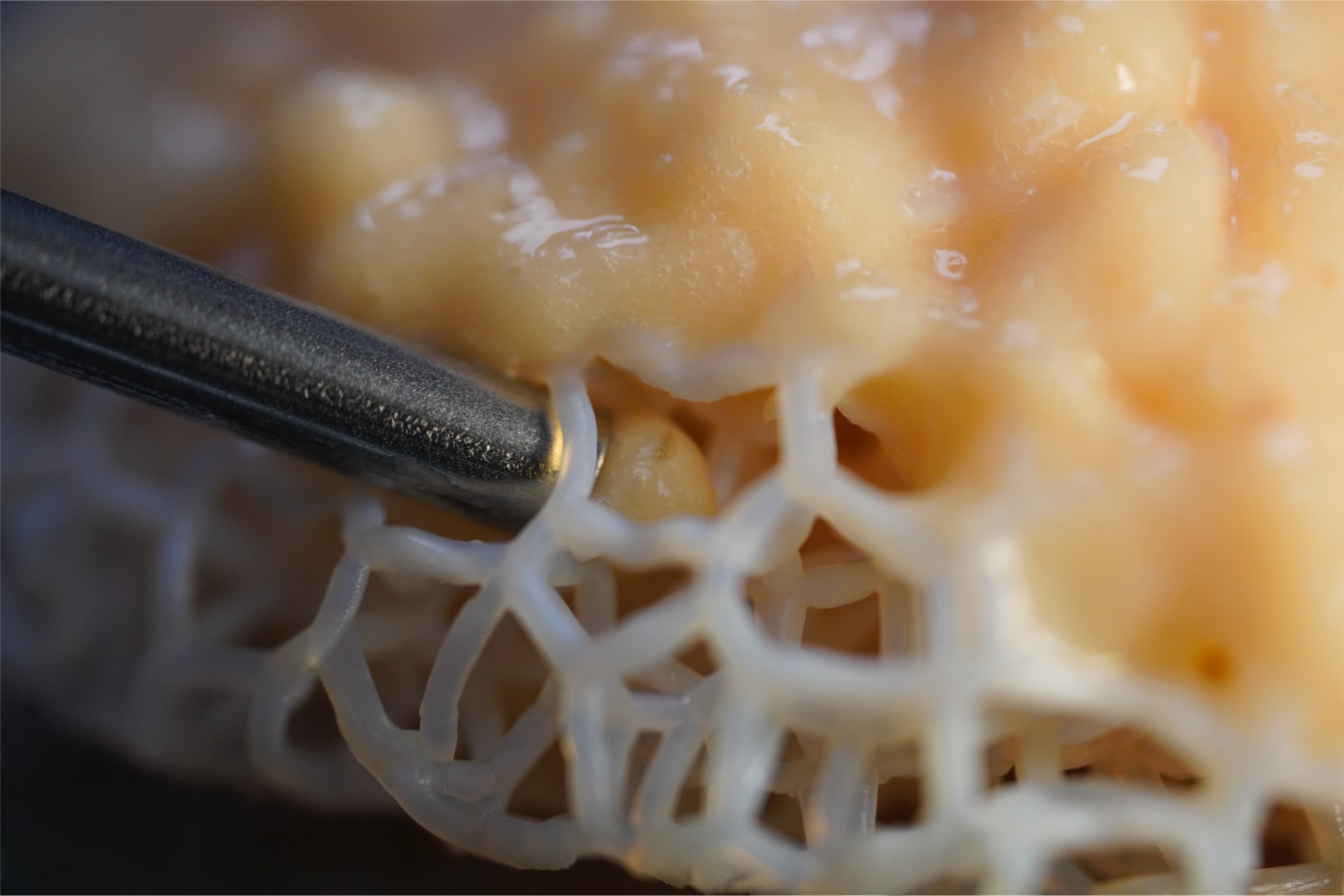 هندسة ميكانيكا حيوية تساعد مرضى السرطان