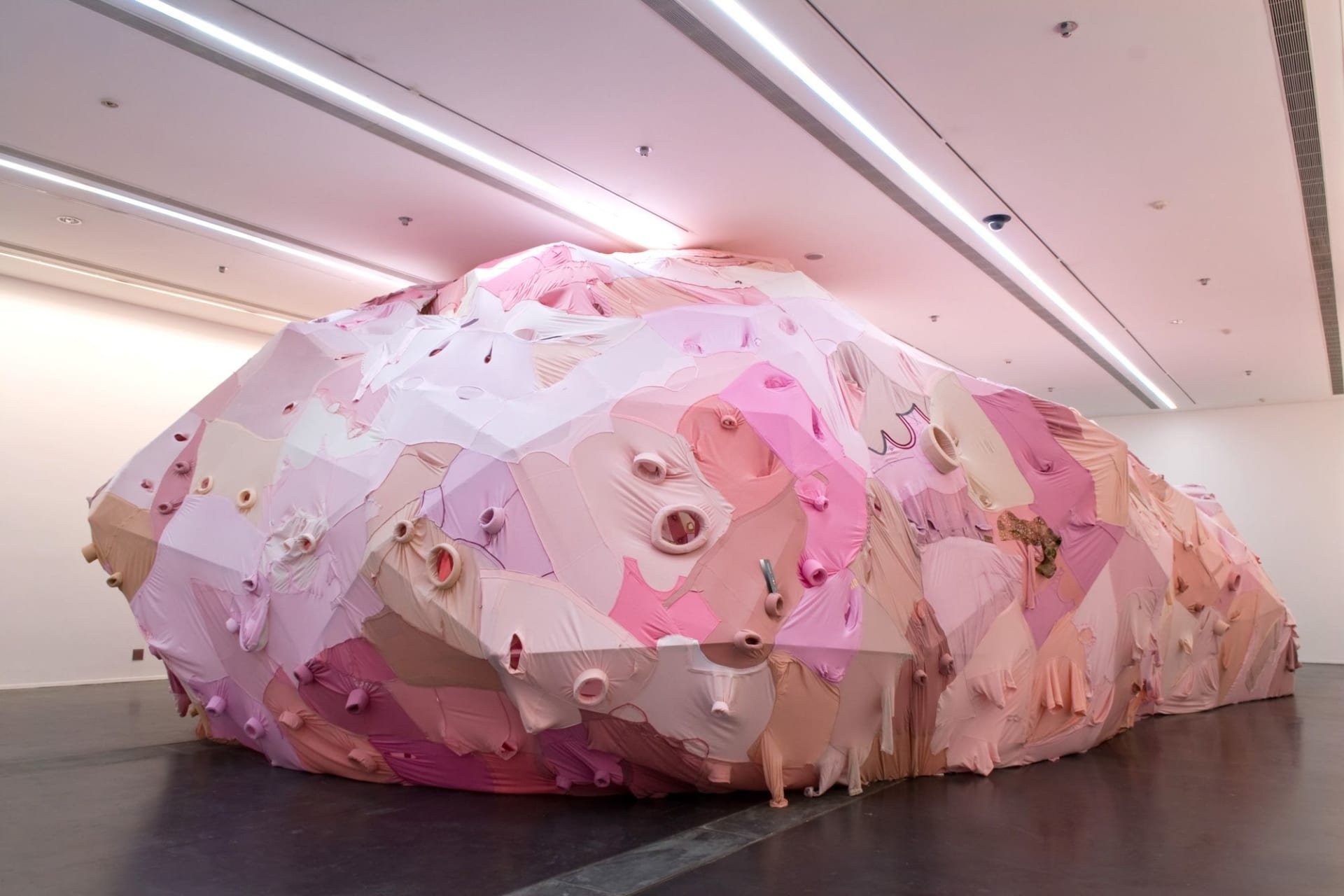 يهدف عمل 'التجويف التأملي' (2008) إلى إحياء ذكريات التواجد في الرحم، وفقًا للفنانة.