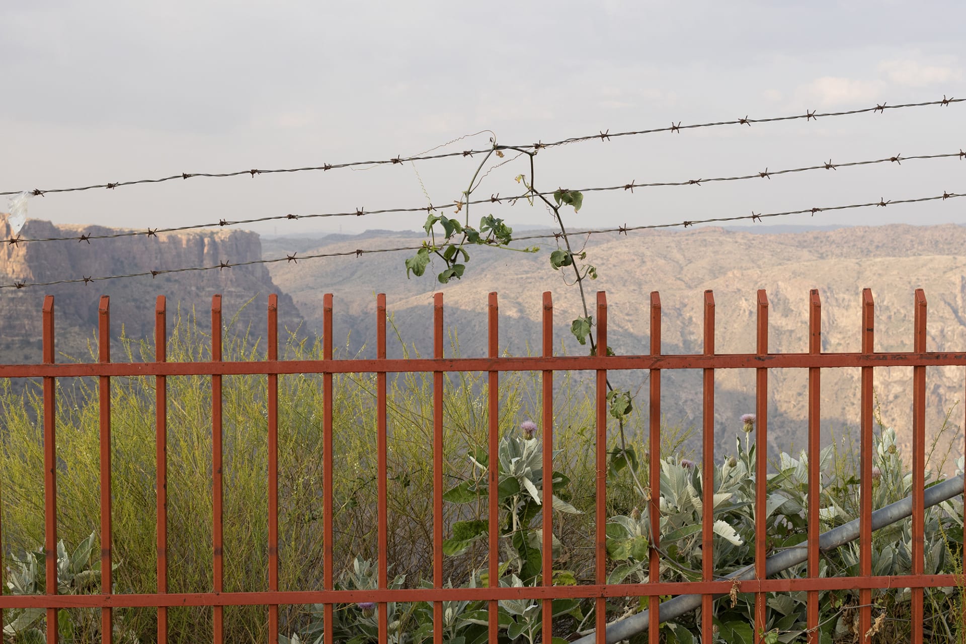 صور من السعودية توثق العلاقة العميقة بين الإنسان وأرضه في عسير