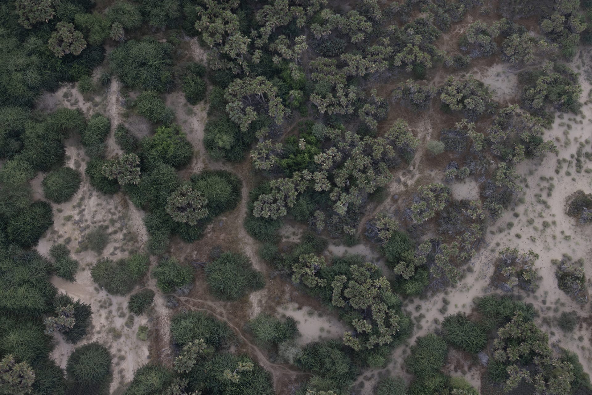 صور من السعودية توثق العلاقة العميقة بين الإنسان وأرضه في عسير