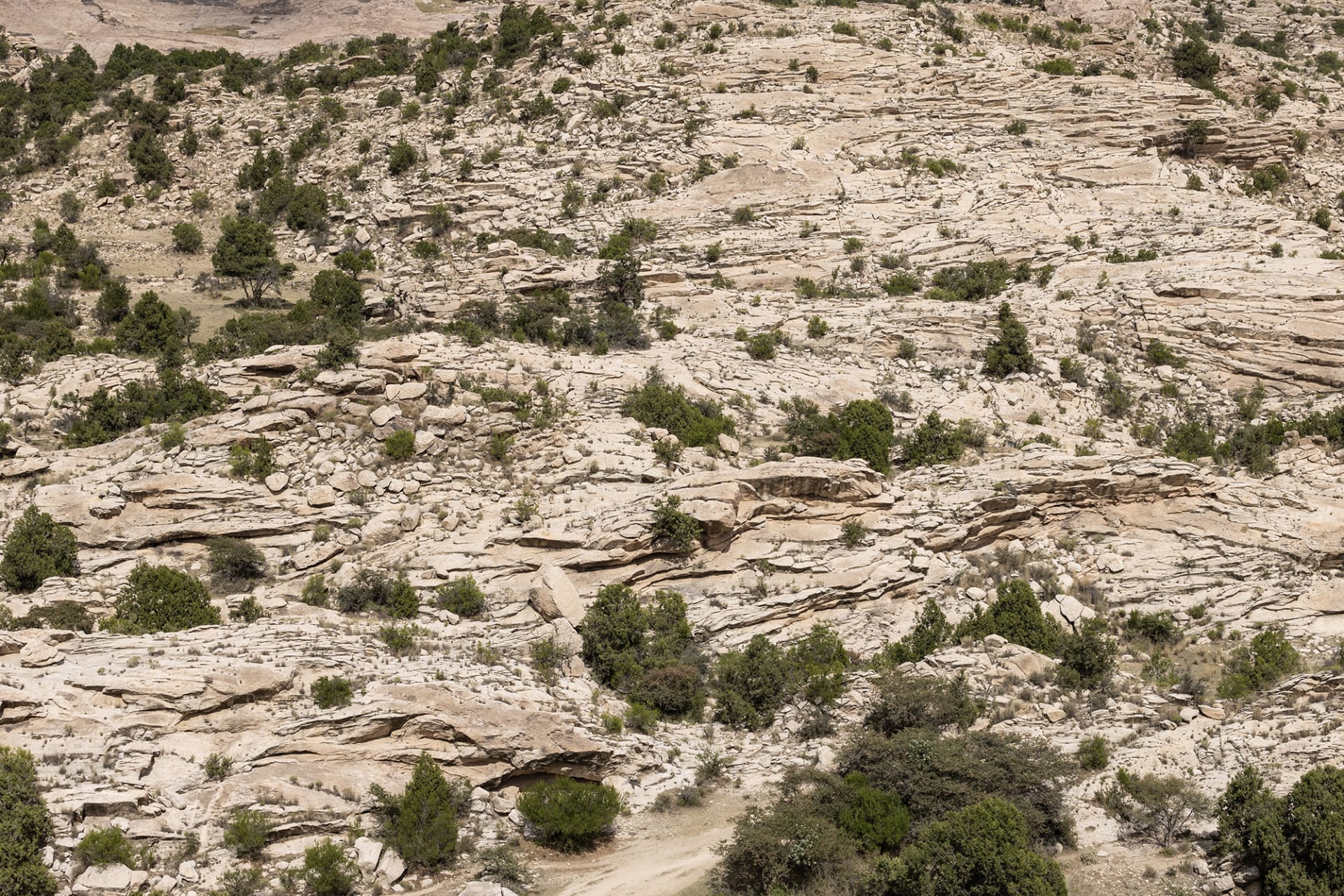 صور من السعودية توثق العلاقة العميقة بين الإنسان وأرضه في عسير