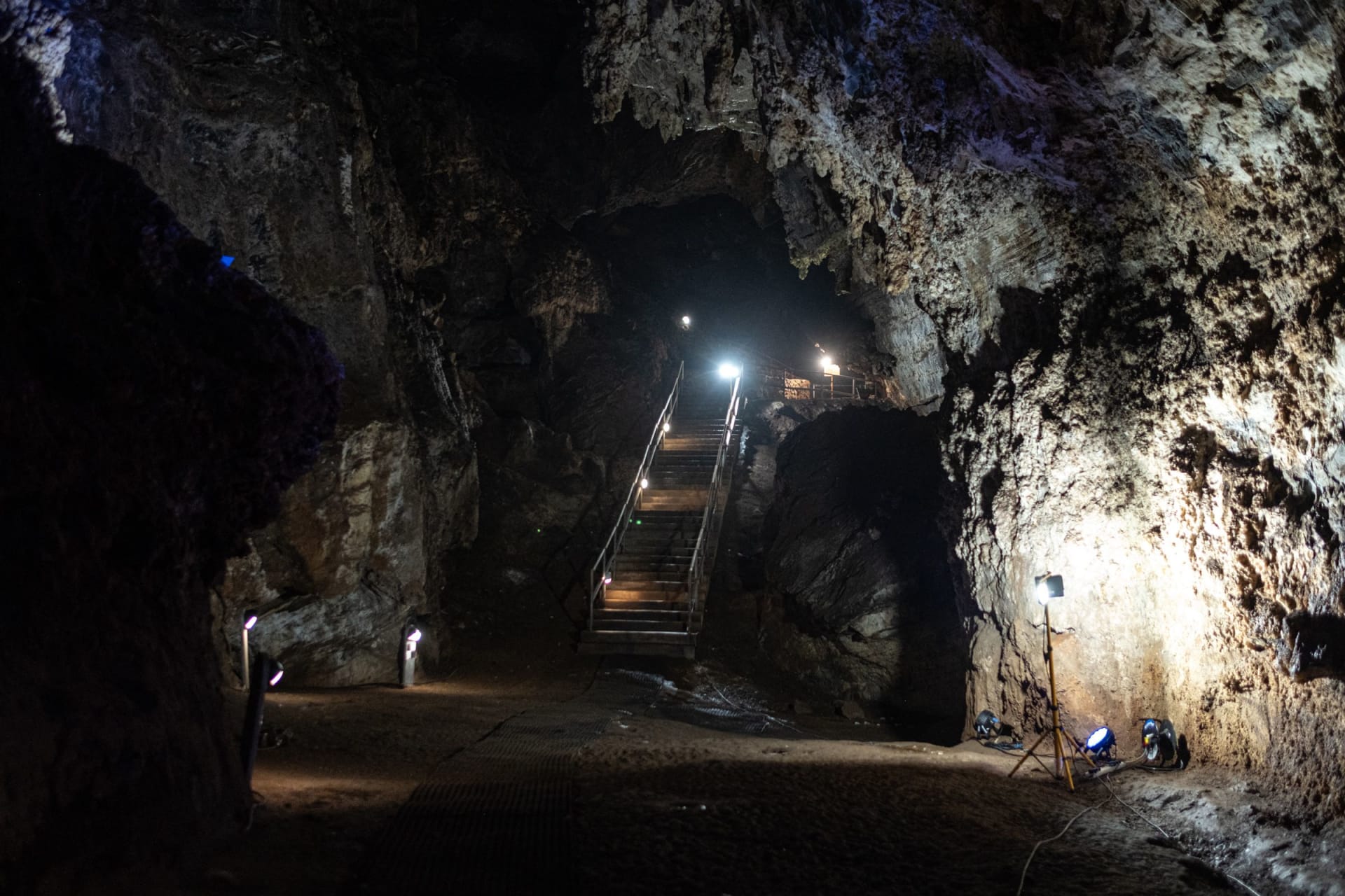 الكشف عن وجه سلف بشري عاش قبل 4 ملايين عام.. هكذا بدت "ليتل فوت"