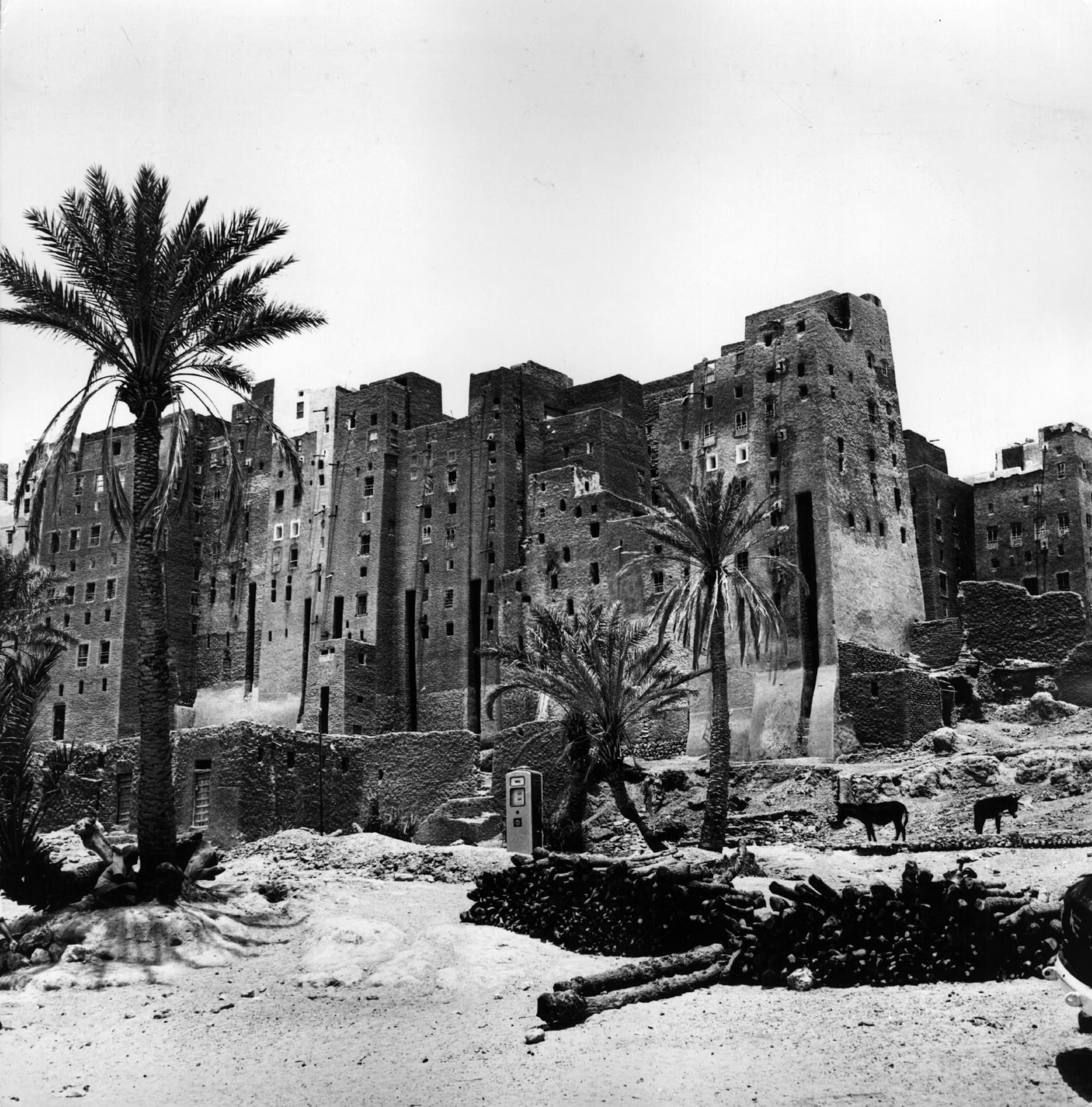 صور عمرها حوالي 100 عام.. باحثة سعودية توثق أرشيف شبه الجزيرة العربية