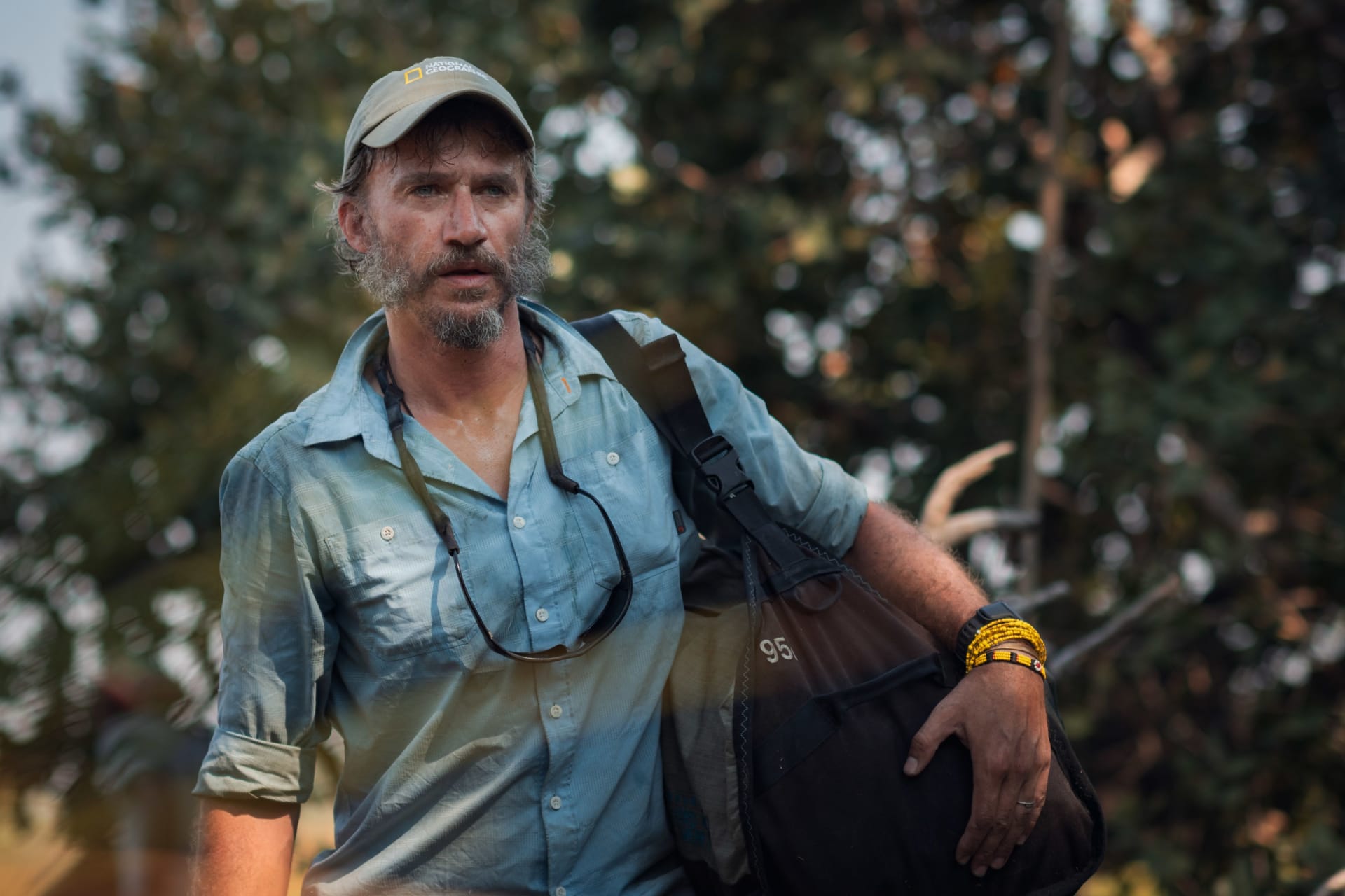 الفيل الشبح 