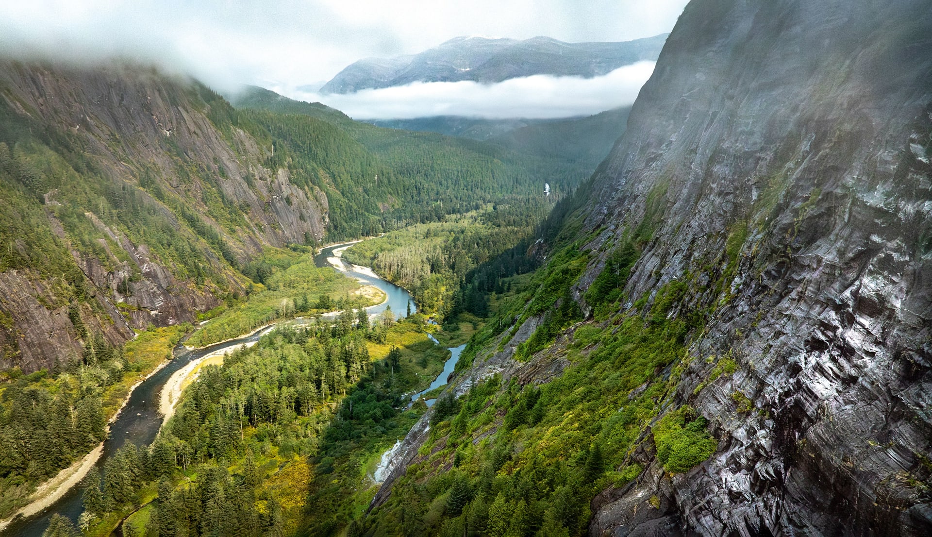بريطاني يرصد العالم الخفي لدببة الروح في صور نادرة