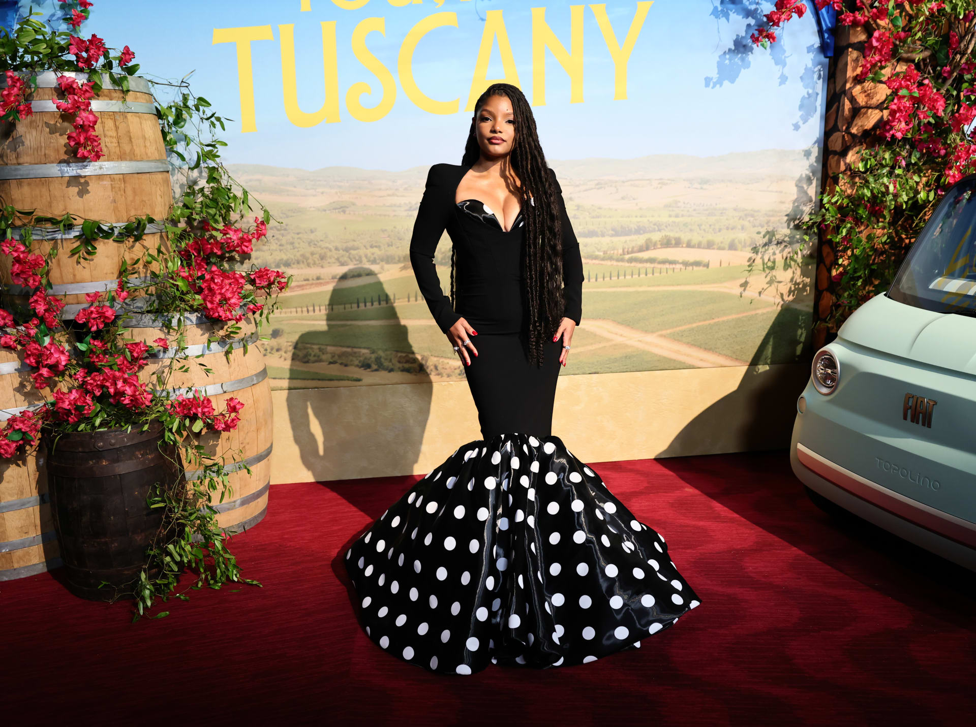 المغنية الأمريكية هالي بيلي. 