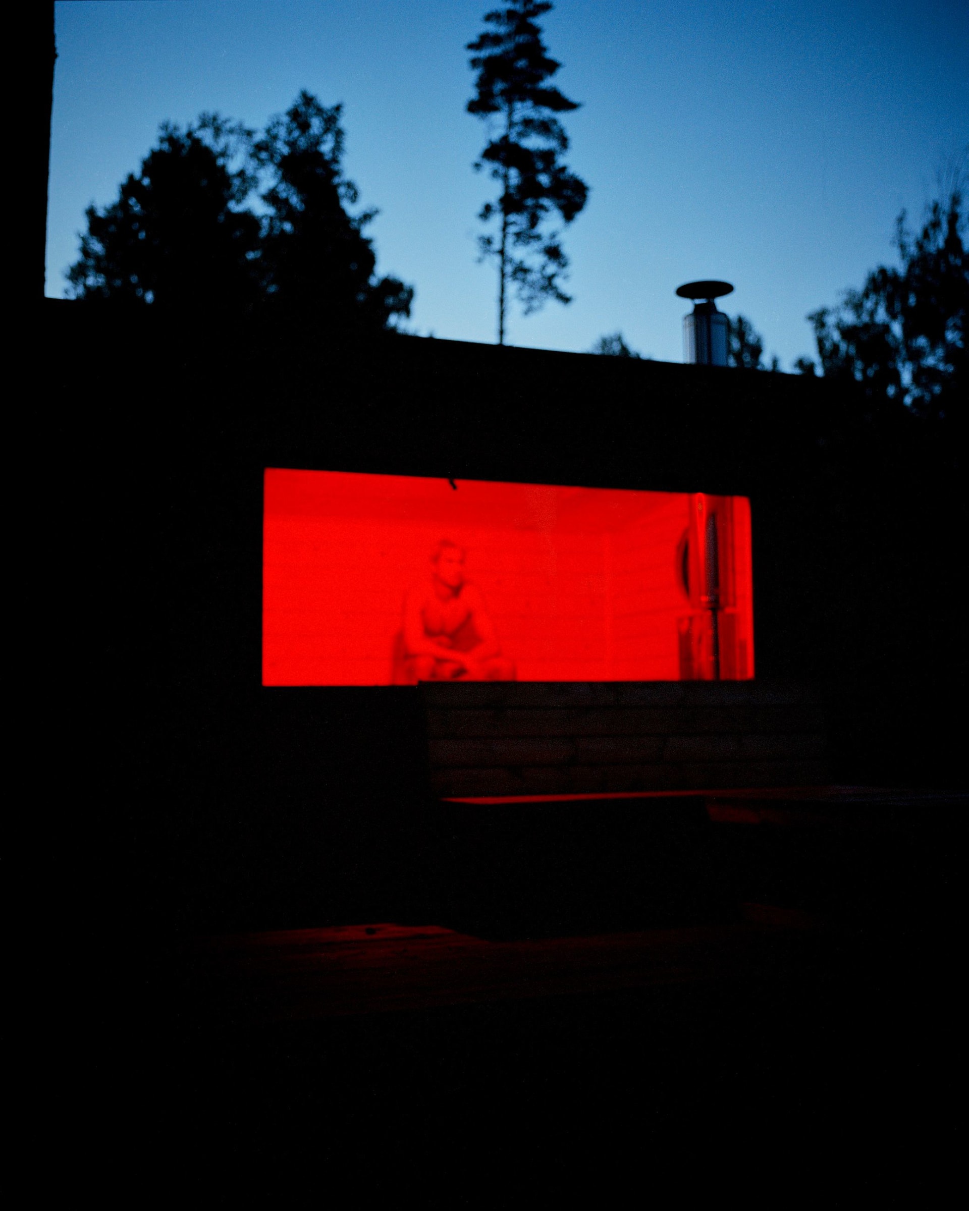 .صورة ذاتية لألفي وايتمان التُقطت داخل ساونا قرب كوخه الخشبي في السويد