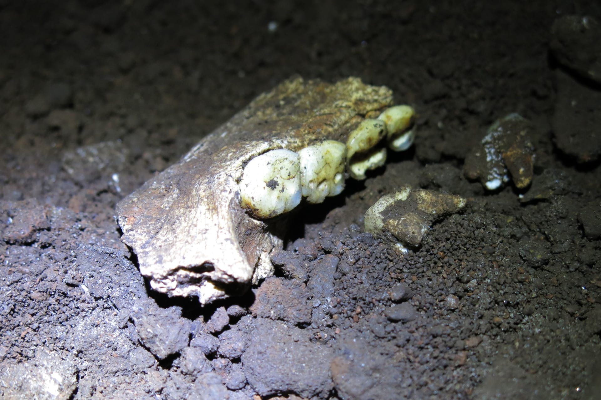 10-national-geographic-rising-star-naledi-excavation-credit-mathew-berger.jpg