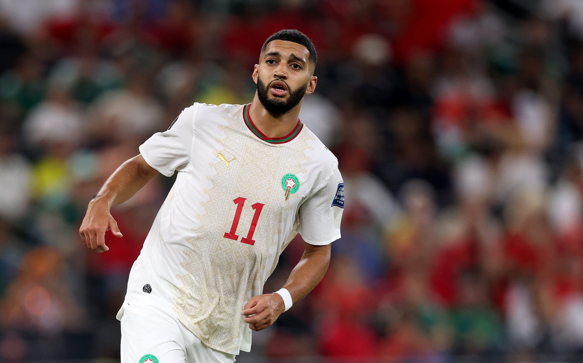 "بكاء الوالدة" و"احتفال المصارع".. لقطات تاريخية سجلها العرب في مونديال 2026