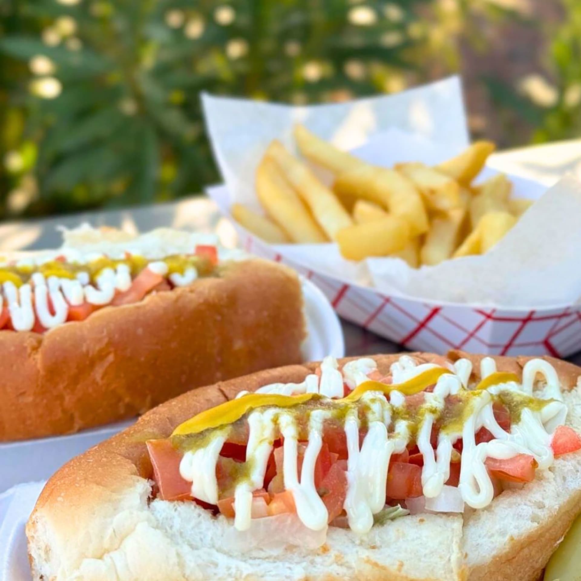هوت دوغ