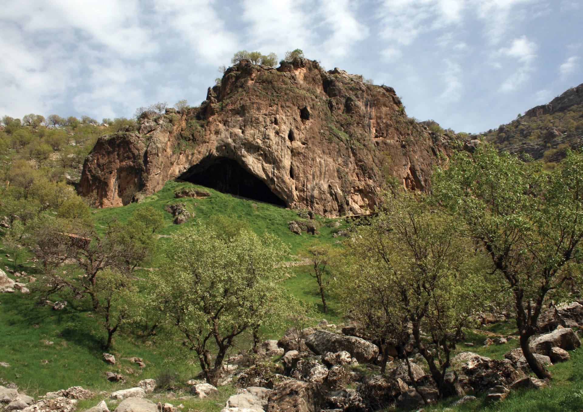 نياندرتال