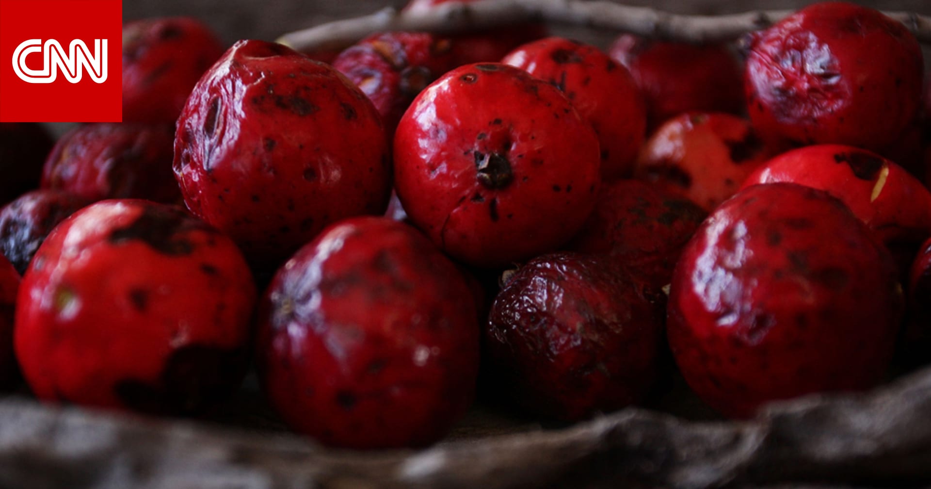 https arabic cnn com business 2014 04 29 san pellegrinos worlds best restaurants