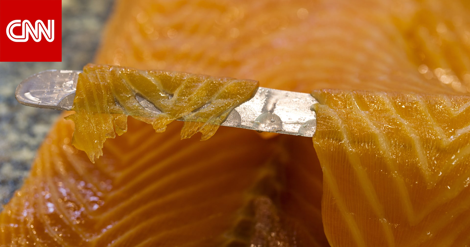 الشوفان والشعير وسمك السلمون والخضار الورقية أفضل 10 أطعمة لصحة القلب Cnn Arabic