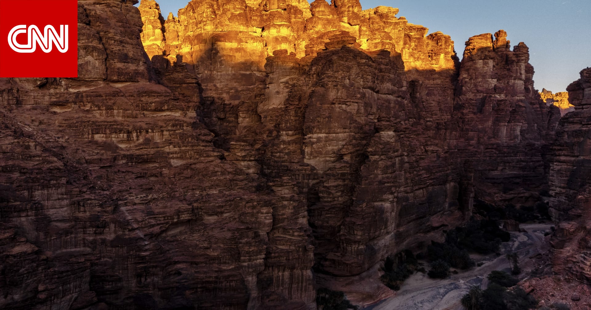 سعودي يرصد “حارس الجبال” بوادي الديسة ومتابعين يتفاجأون بوجوده