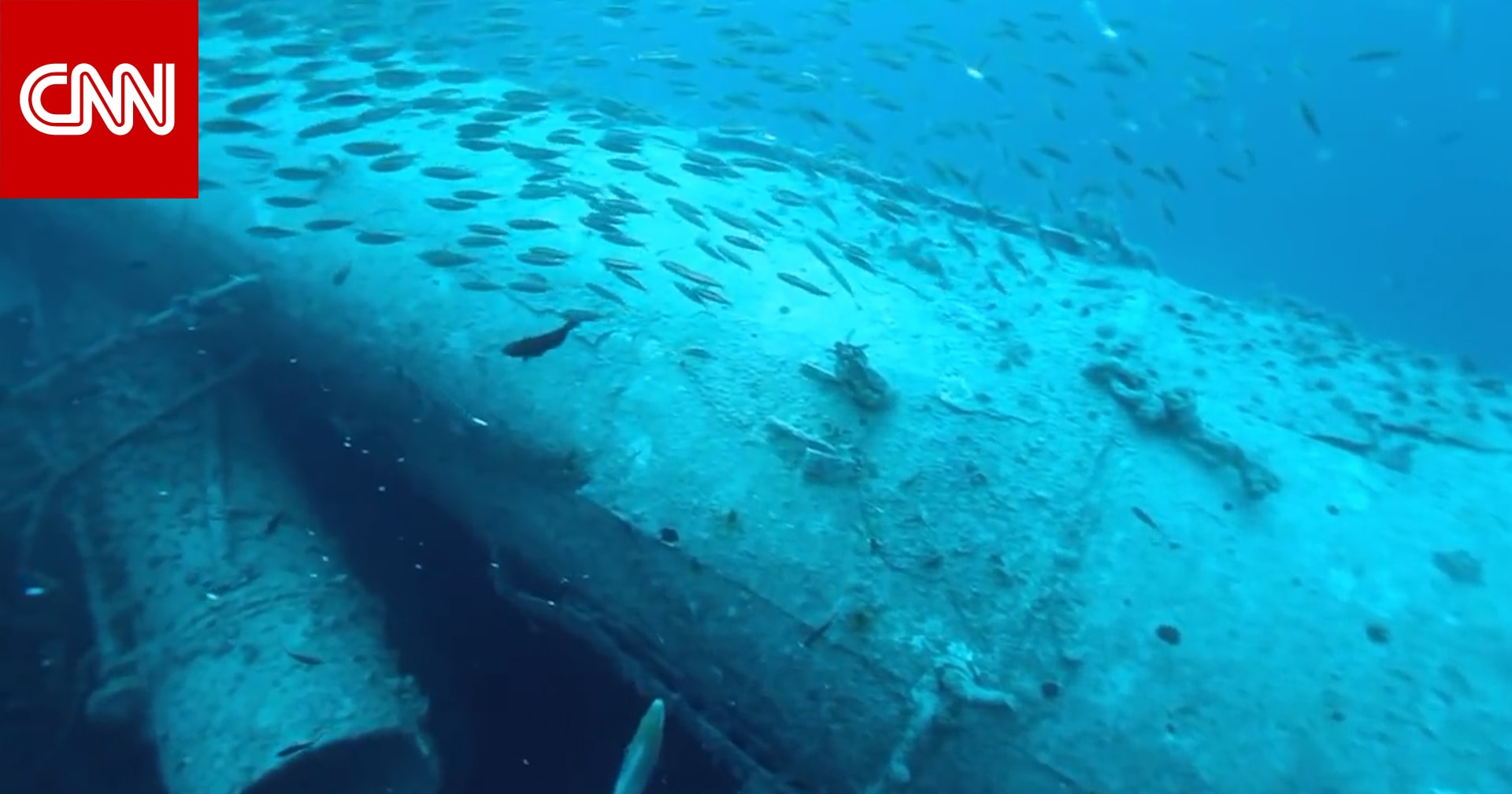 شاهد مغامرة كويتي يغوص بين حُطام سفينة روزالي مولر في مصر - CNN Arabic