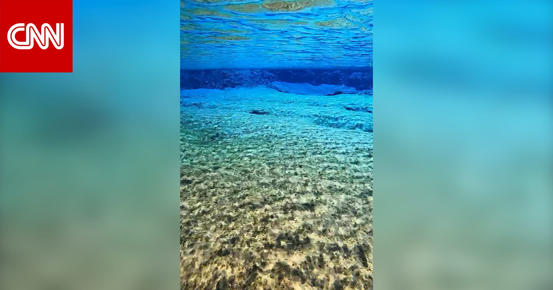 الفرق بين البلوفر والهودي