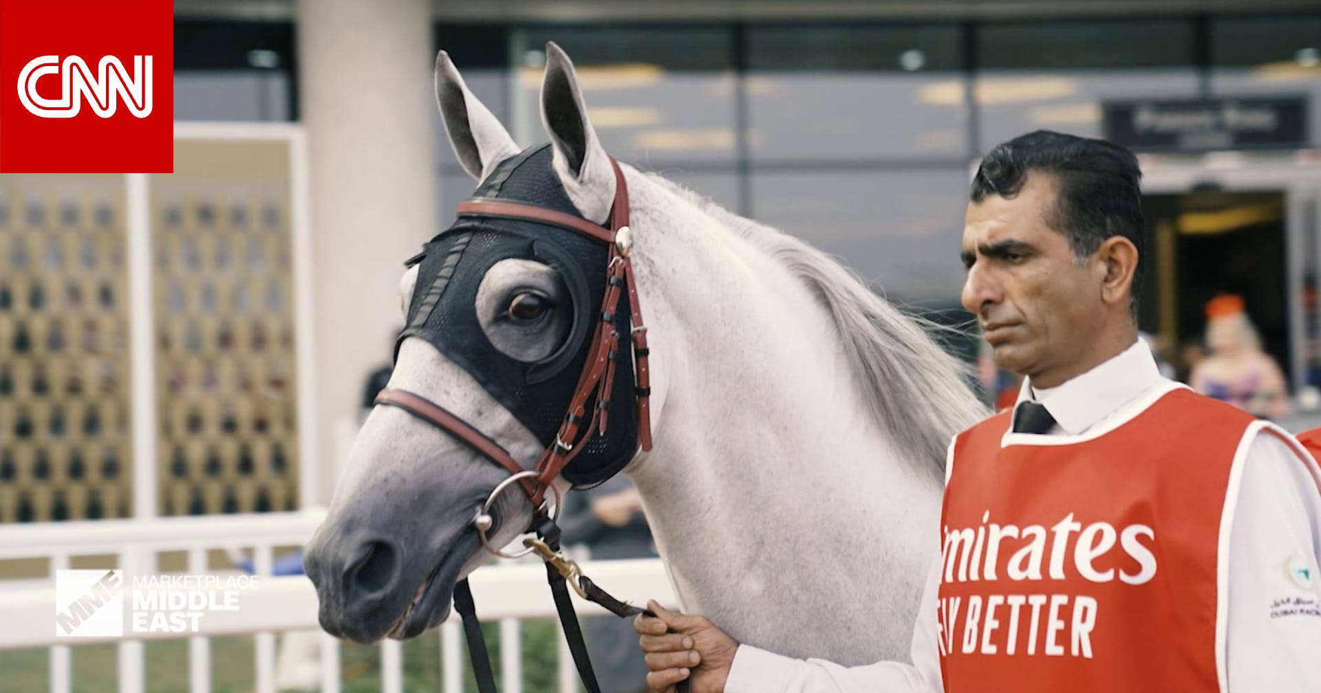 30 مليون دولار في المضمار.. هذا ما يحدث في كواليس سباقات الخيل بدبي
