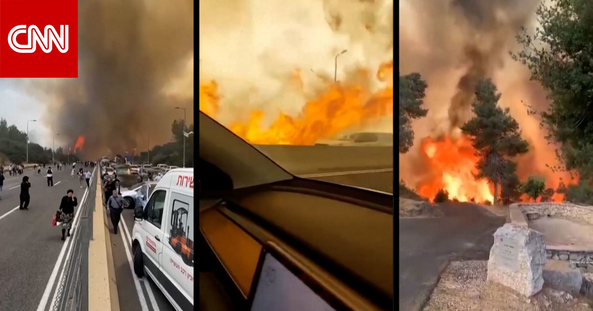 حرائق الغابات في إسرائيل قد تكون "الأكبر على الإطلاق" بالبلاد.. شاهد آثارها