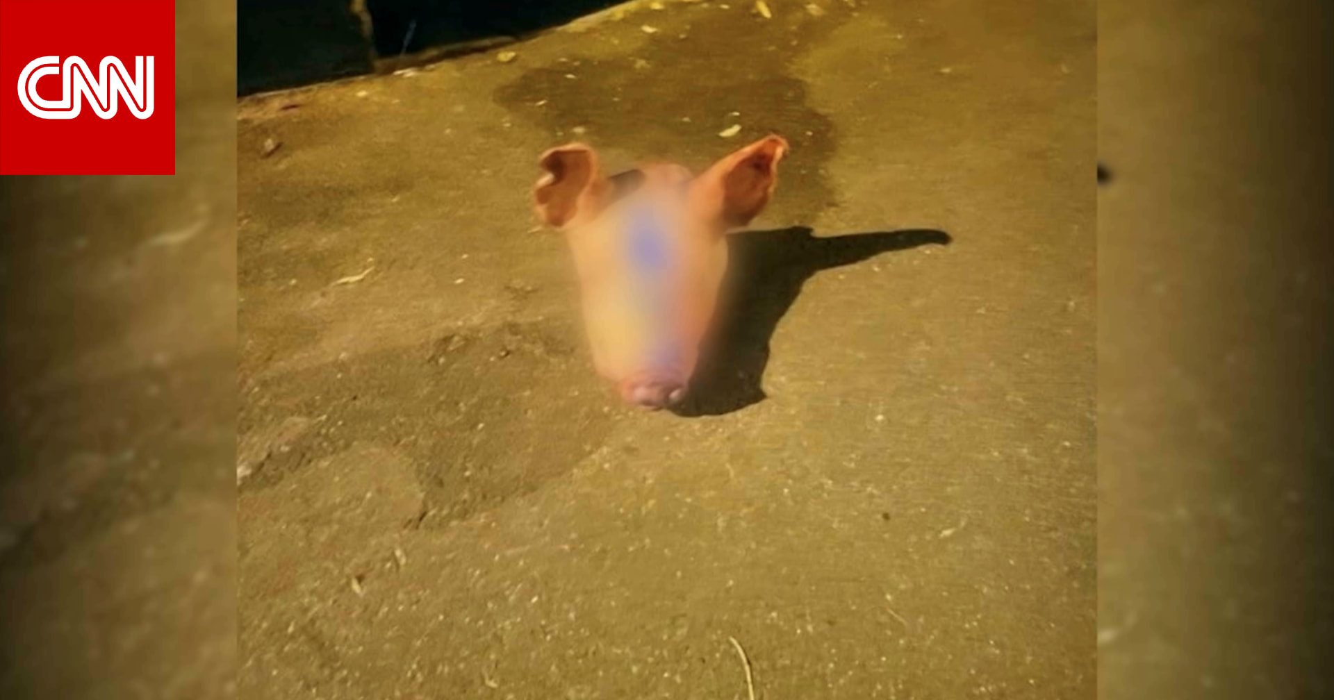 سلسلة حوادث غامضة منها رؤوس خنازير أمام مساجد.. هل يُؤجج عملاء أجانب التوترات في فرنسا؟