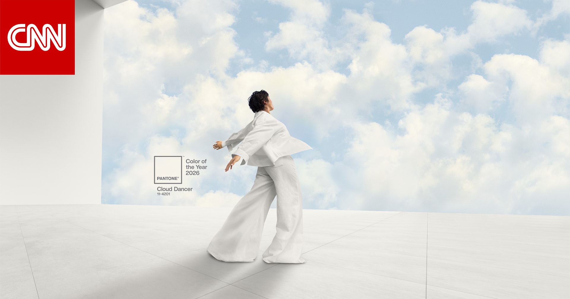 "يعكس روح العصر والبدايات الجديدة".. ما هو لون "بانتون" للعام 2026؟ 