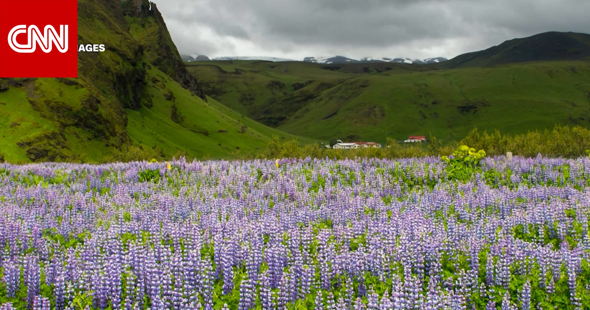 Sorry! Image not available at this time