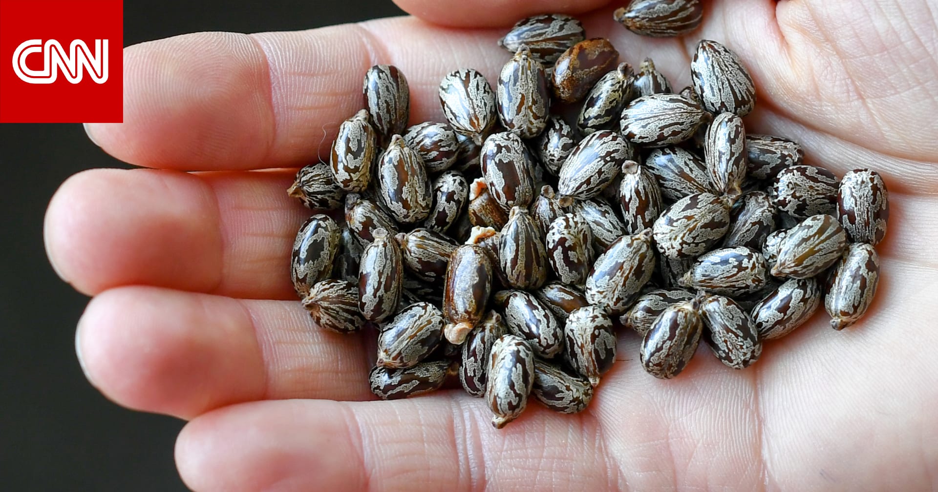 من بينها تخفيف آلام المفاصل.. أبرز فوائد زيت الخروع 