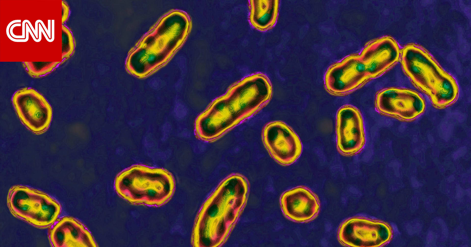 هل مهّد ثوران بركاني الطريق لتفشي وباء الطاعون الذي فتك بأوروبا؟ 