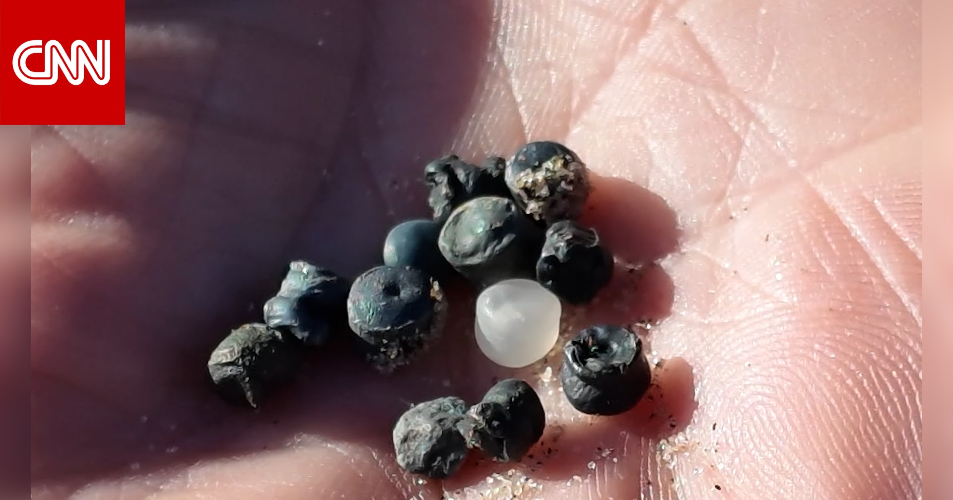 حادثة كارثية.. تسرب 10 أطنان من الخرز البلاستيكي الحيوي إلى الساحل بإنجلترا