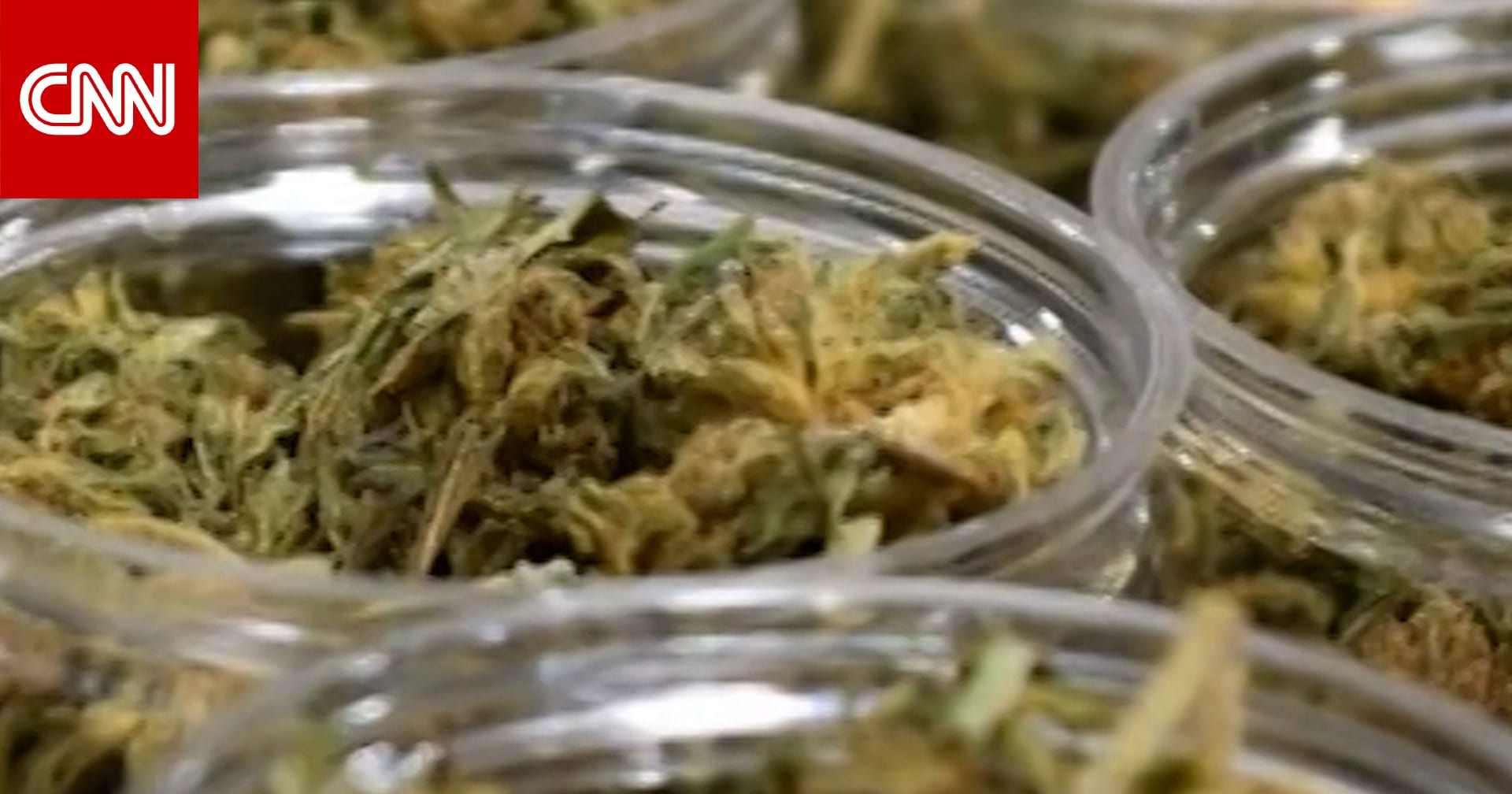 ترامب يتخذ خطوات لإعادة تصنيف الماريغوانا