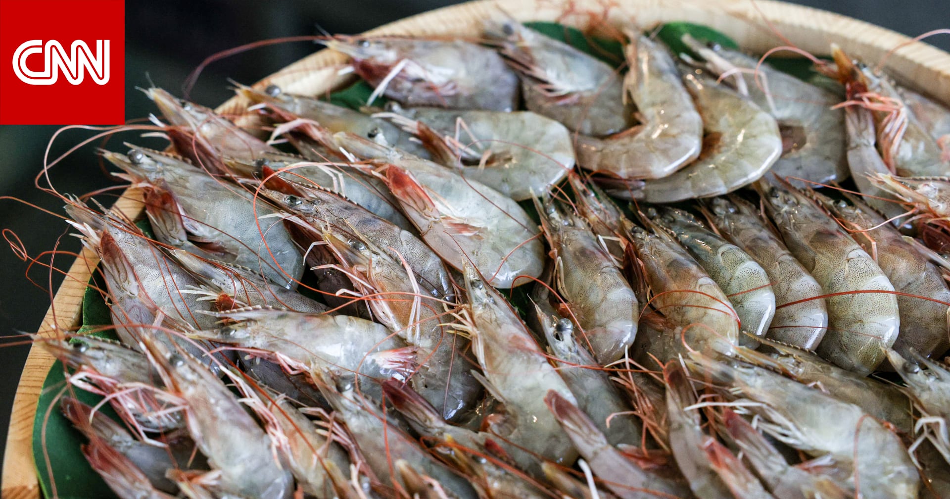 رغم فوائده.. احذر تناول الروبيان في هذه الحالات 