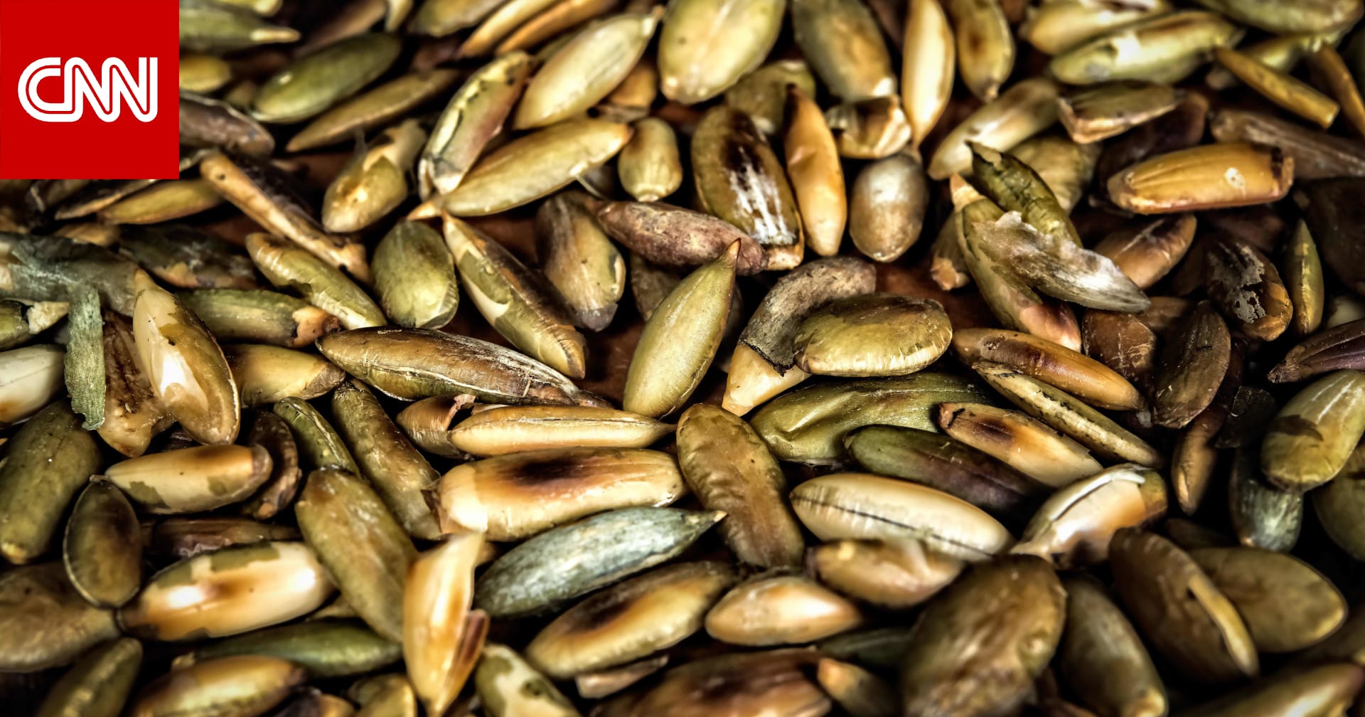 سرّ صحتك ونشاطك.. كيف تحصل على حمض "الليوسين" بشكل طبيعي؟ 